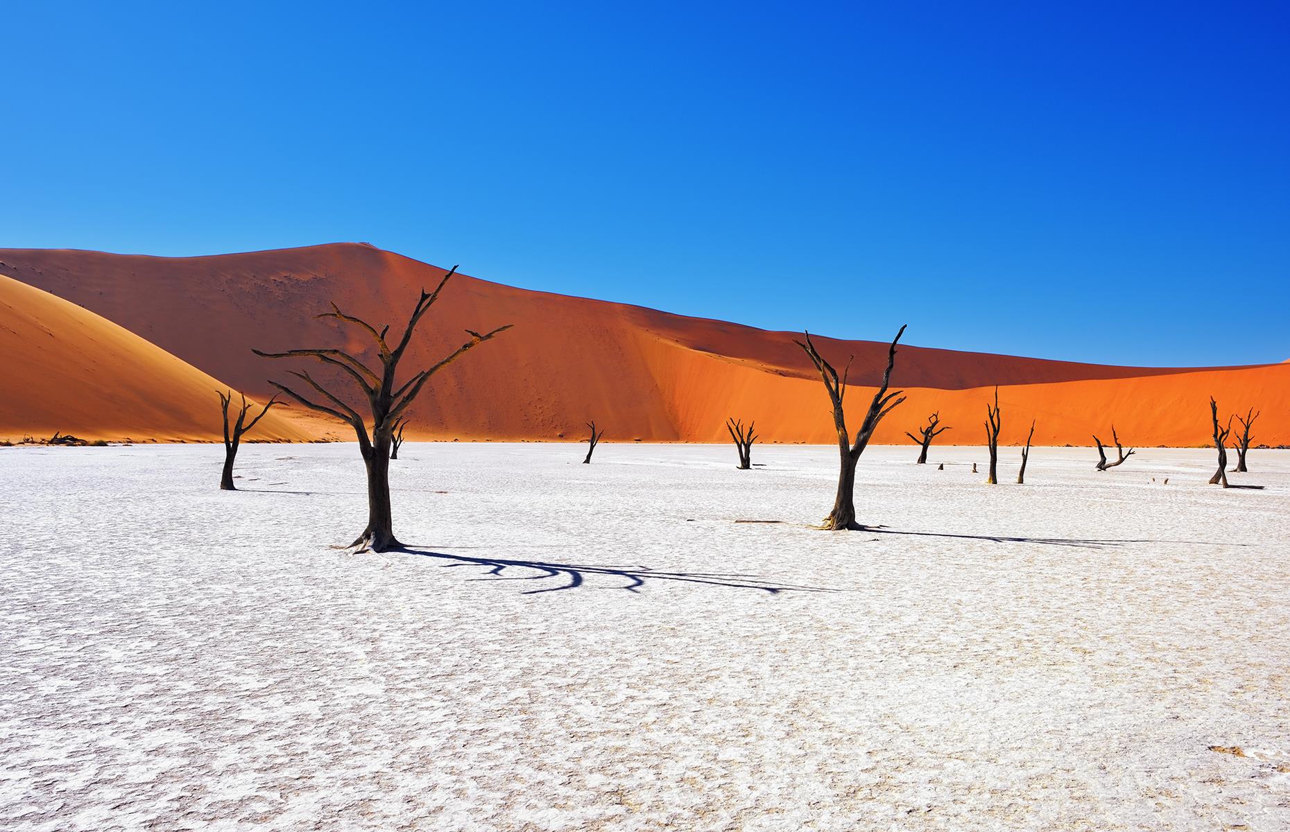 This white salt pan, tucked within the Namib-Naukluft Park, is an otherworldly sight. Dotted with petrified trees and surrounded by rust-red dunes, the dry mineral pan of Deadvlei is perfect fodder for budding photographers. Time your visit for sunset for some truly spectacular shots.