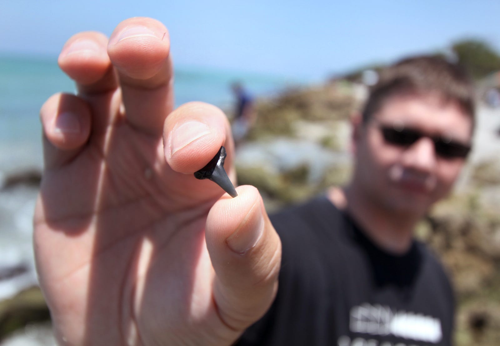 This Florida beach is the Shark Tooth Capital. Here’s how to find them