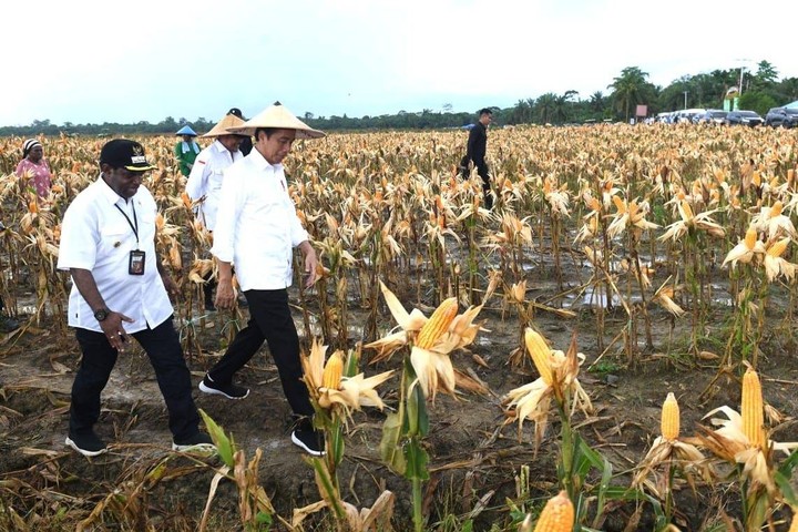 Buka-bukaan Anggaran, Timses Prabowo Tak Mau Isu Duit Food Estate ...