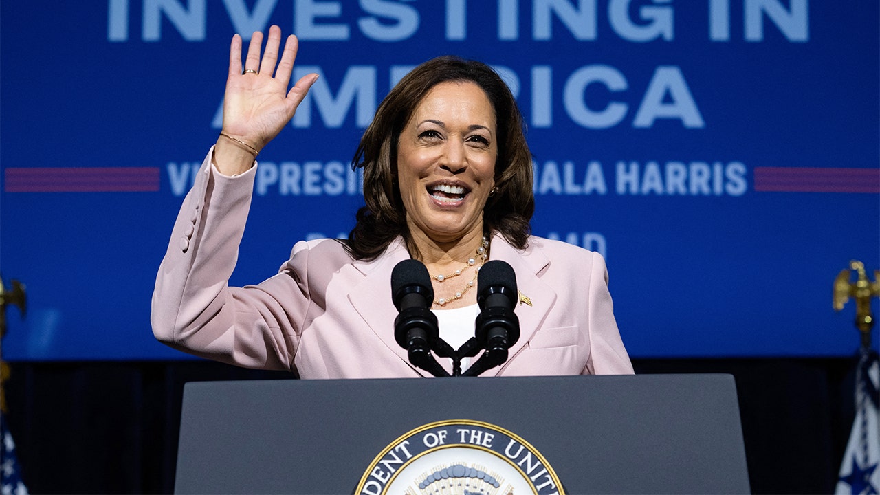 Kamala Harris defends DEI, pushes for making 'adjustments' to create ...