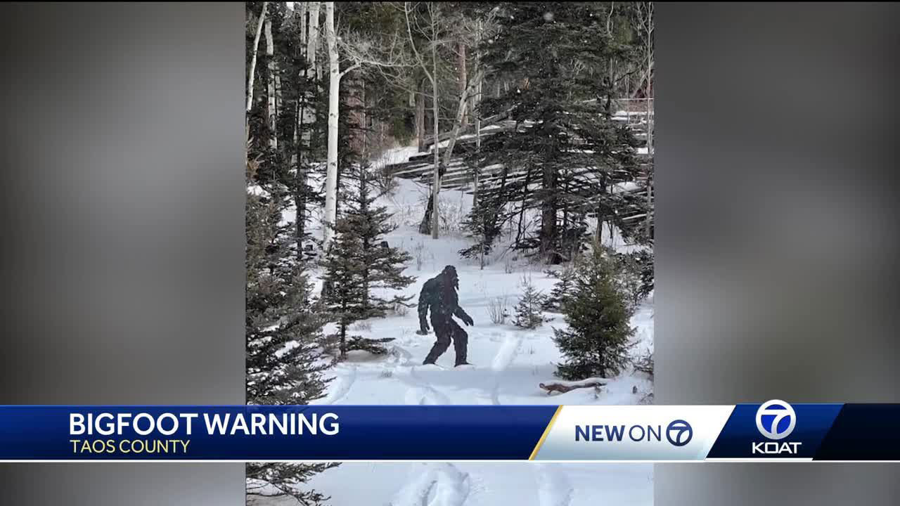 Bigfoot warning in Taos County