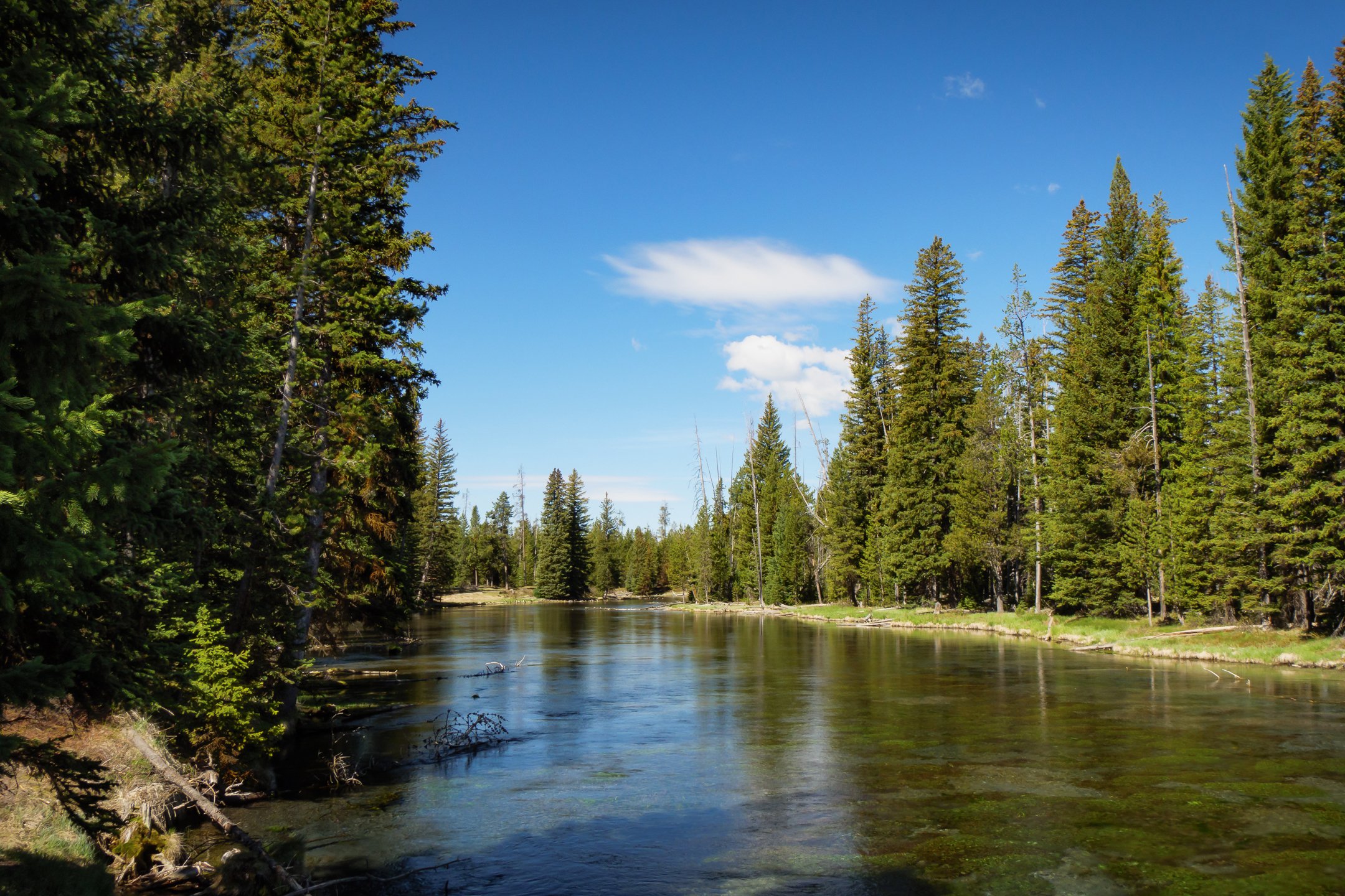 When you visit <a href="https://visitidaho.org/things-to-do/fishing/henrys-fork-of-the-snake/">Henry's Fork of the Snake River</a>, you're likely to see moose, geese, muskrat and blue heron — but it's what you don't see that will keep you coming back. Beneath the winding river, which traverses sprawling ranch land and timber-covered canyons, several species of hungry trout, including rainbows and browns, await your bait.