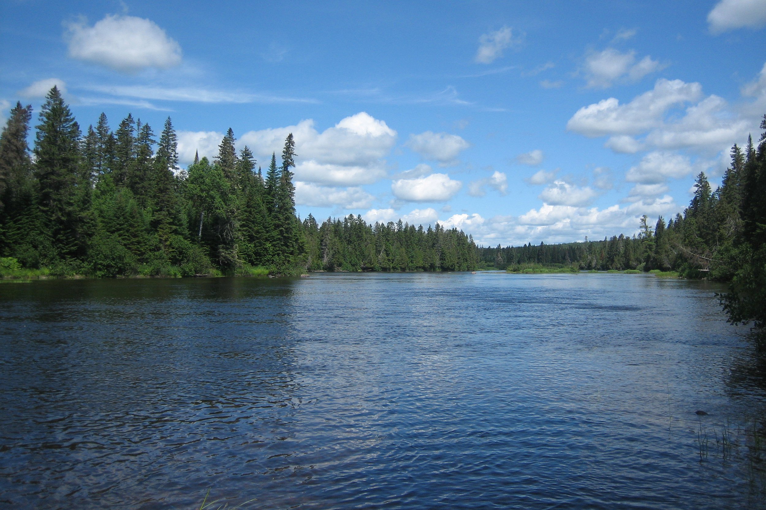 <p>A tributary of the St. John's River, the <a href="https://www.nrcm.org/projects/forests-wildlife/allagash-wilderness-waterway/">Allagash River and Waterway</a> is a genuine wilderness experience in the remote wilds of Maine, so plan well before you go. The Allagash's pristine waters aren't known for their diversity of fish species, but if you're okay with whitefish, brown trout, and lake trout, however, you'll be satisfied and then some. </p>