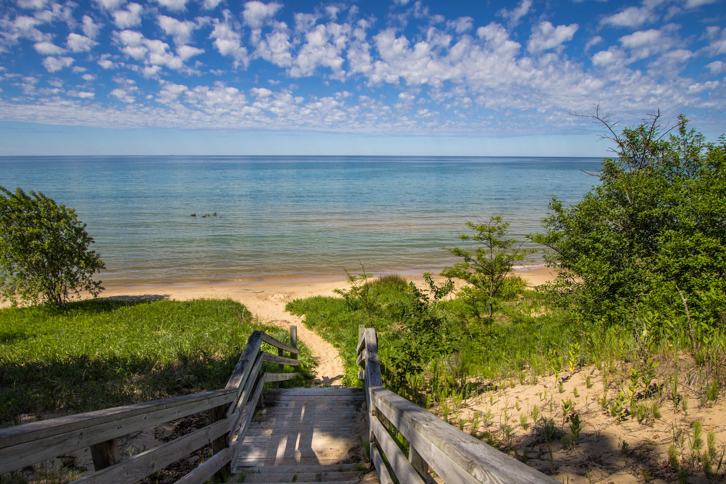 <p>Home to five of America's top 50 bass lakes, four of the five Great Lakes, and arguably the best fly fishing in the country, Michigan just might be the best state in America for anglers. Seawall fishing on <a href="https://www.michigan.gov/dnr/0,4570,7-350-79119_79146_81198-469743--,00.html">southern Lake Michigan</a>, however, is arguably the best experience you'll have with a rod and reel in the state. There you'll be able to catch your fill of Chinook salmon, brown trout, steelhead, freshwater drum, coho salmon, perch, and more.</p>