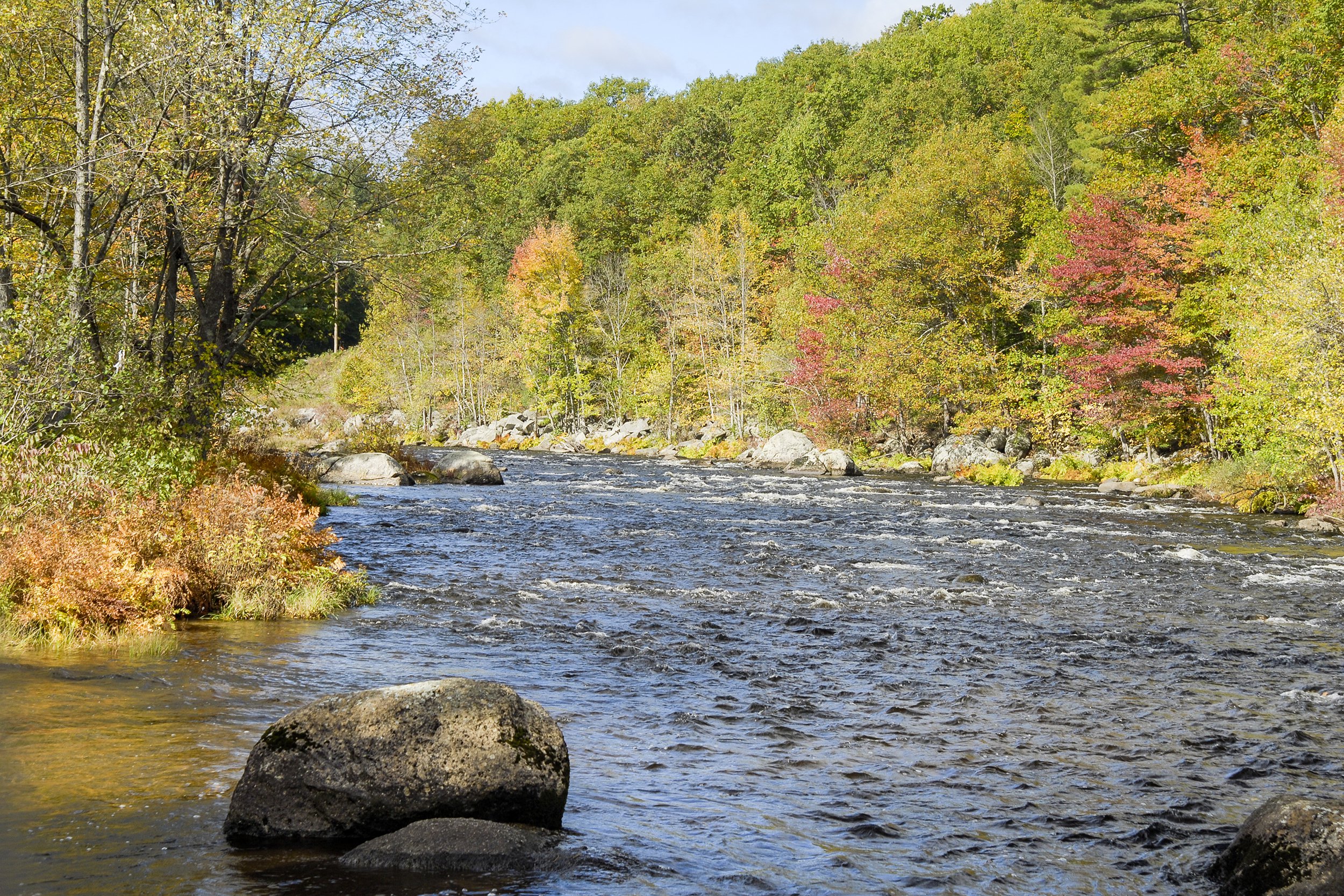 <p>Of all the great fishing spots in the New England state of New Hampshire, the <a href="https://www.des.nh.gov/sites/g/files/ehbemt341/files/documents/2020-01/rl-5.pdf">Contoocook River</a> stands out for supporting both cold- and warm-water habitats. While Atlantic salmon nibble below the surface of the water, keep an eye out above for one of the most impressive collections of birds in the region, including nighthawks, osprey, great blue herons, and bald eagles.</p>