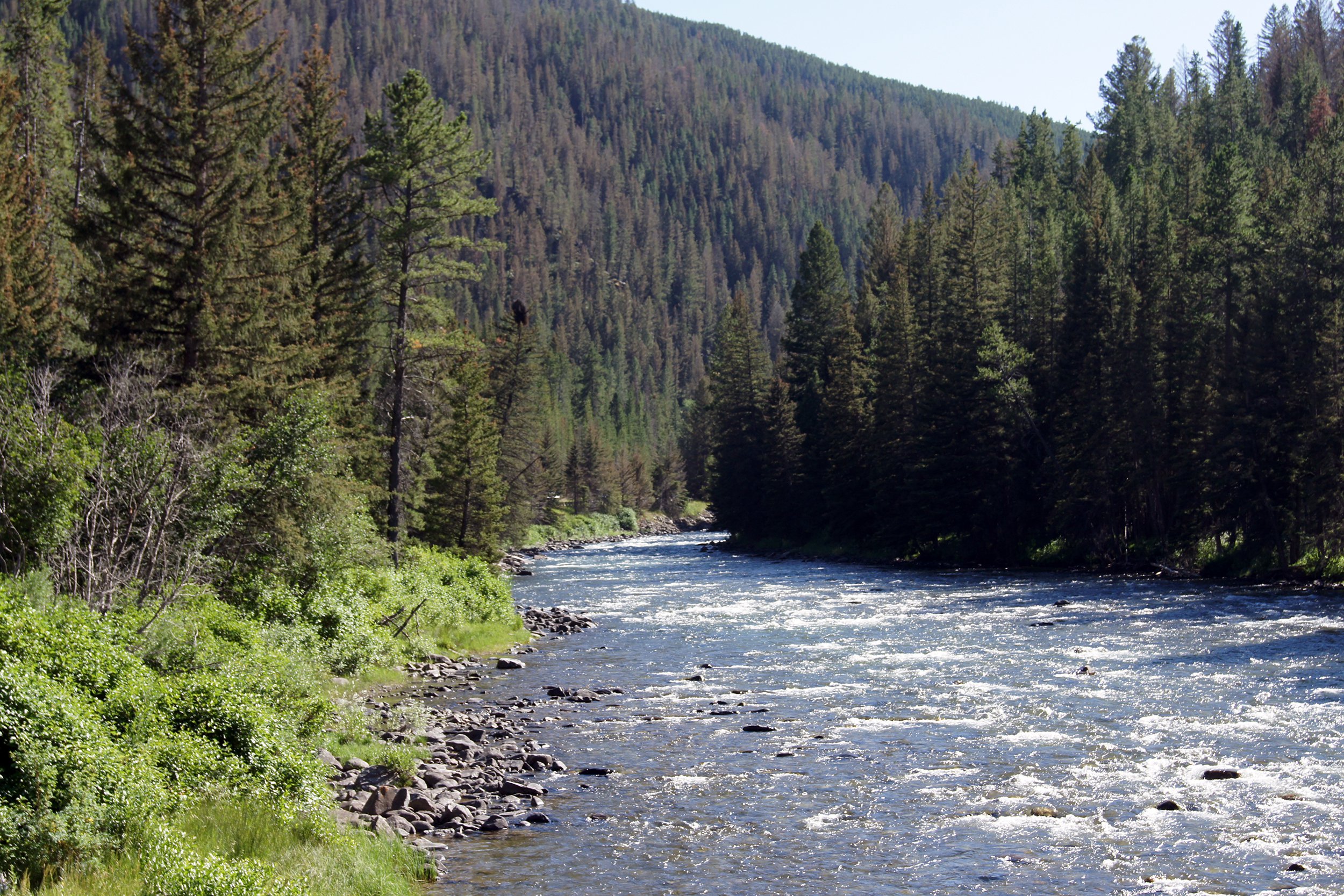 Known for world-class river fly fishing, Montana offers anglers no shortage of great spots, but the <a href="https://www.bigskyfishing.com/rivers/southern-montana/gallatin-river/">Gallatin River</a> is so spectacular in both scenery and production that it deserves a mention even in a state known for stellar fishing. Spanning the gap between Gallatin Lake in the mountains of Yellowstone to the Missouri River, the river is perfect for dry fly fishing for those on the hunt for smaller, but plentiful trout that are not picky eaters.