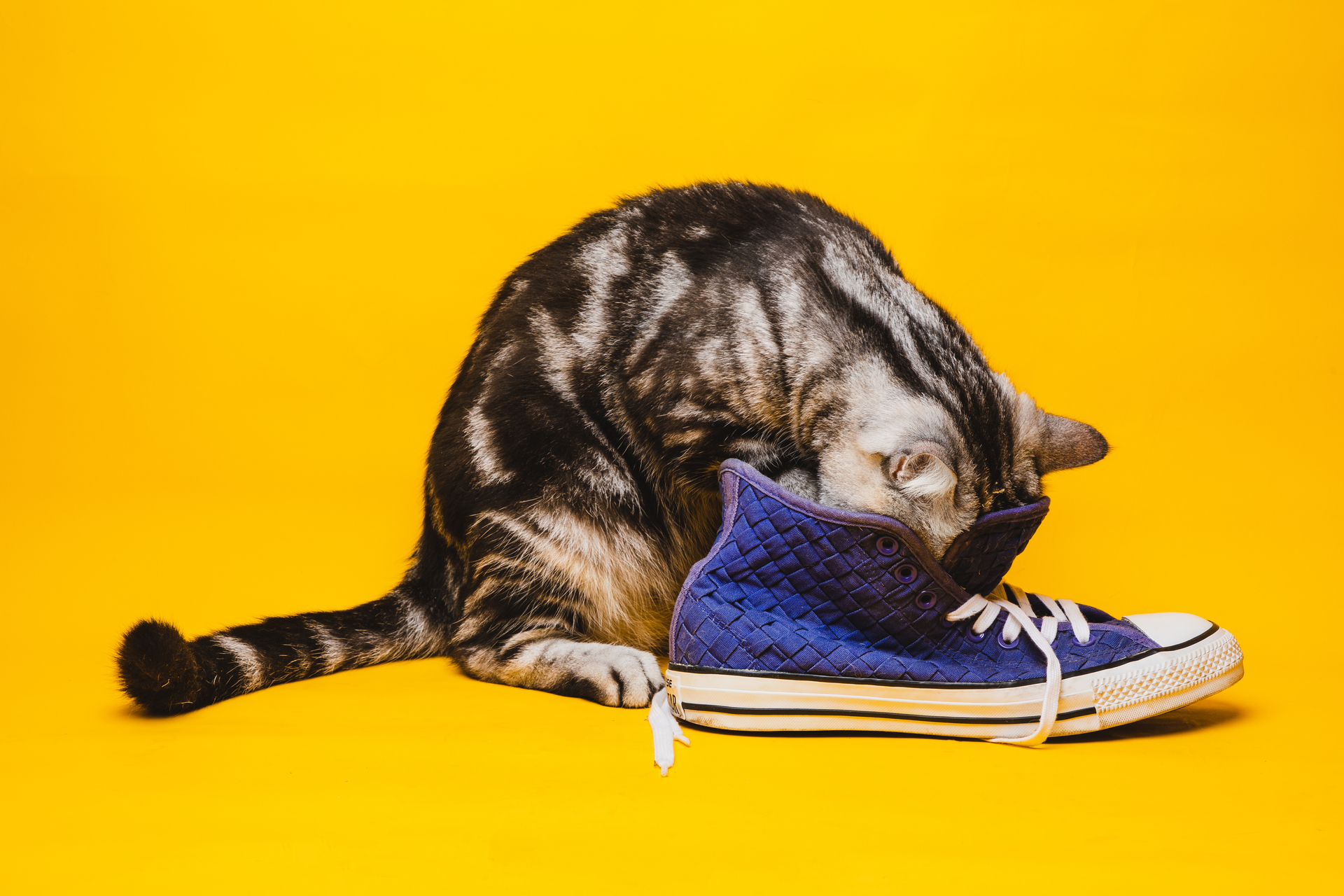 Stinking shoes: what can you do about it?