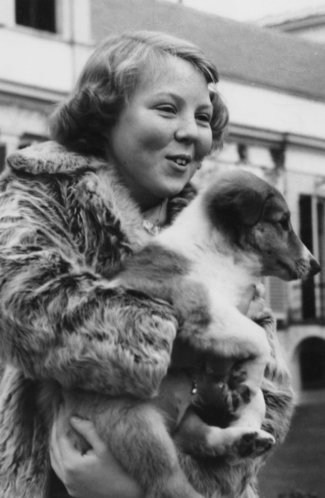 <p>Prinzessin Beatrix (bevor sie Königin Beatrix der Niederlande wurde) mit ihrem Hund im Schloss Soestdijk im Jahr 1951.</p><p>Sie können auch mögen:<a href="https://de.starsinsider.com/n/499571?utm_source=msn.com&utm_medium=display&utm_campaign=referral_description&utm_content=459412v2"> Leben und Wirken des Iggy Pop</a></p>