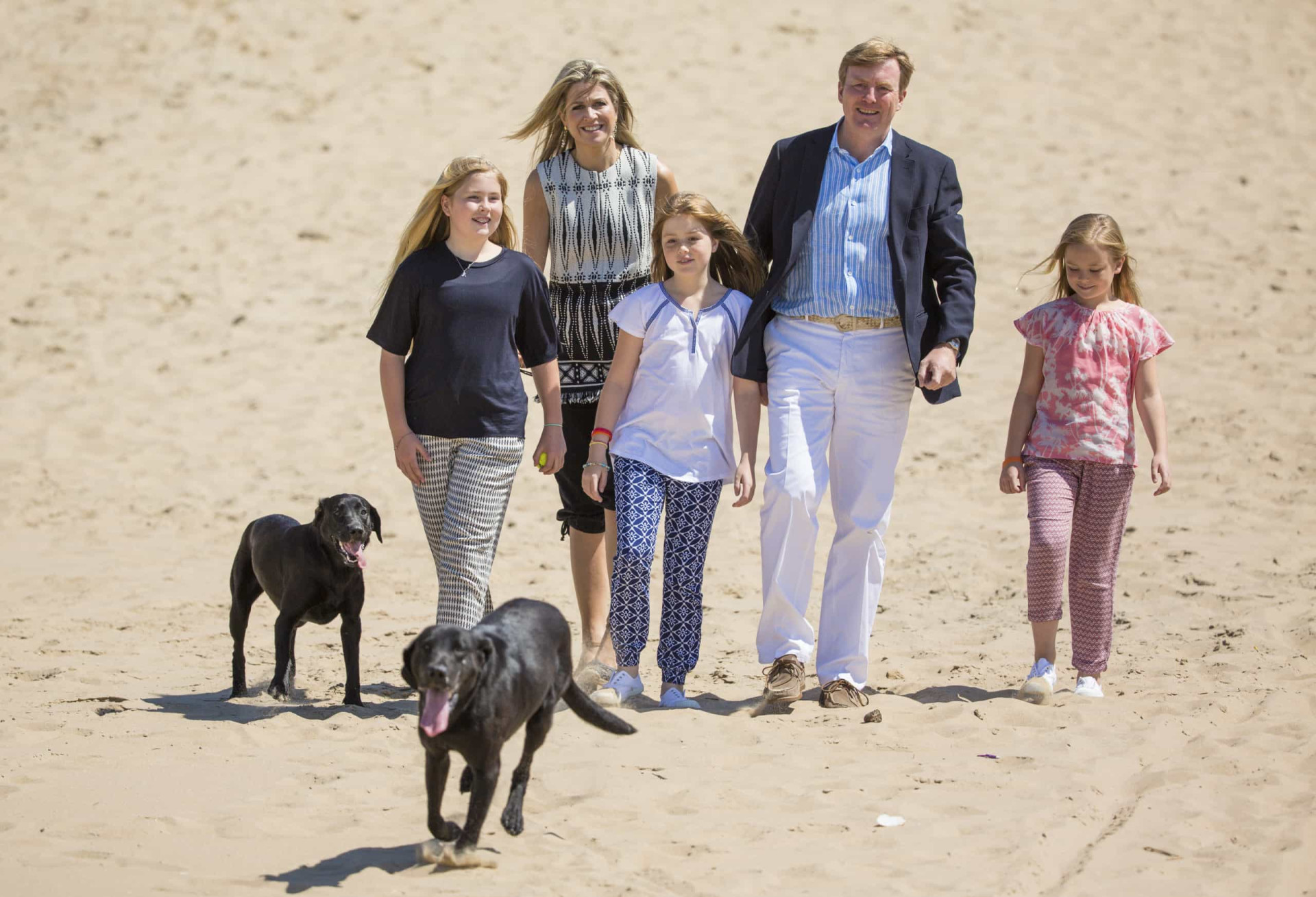 <p>Hier ist die niederländische Königsfamilie mit ihren wunderschönen Labradoren.</p>