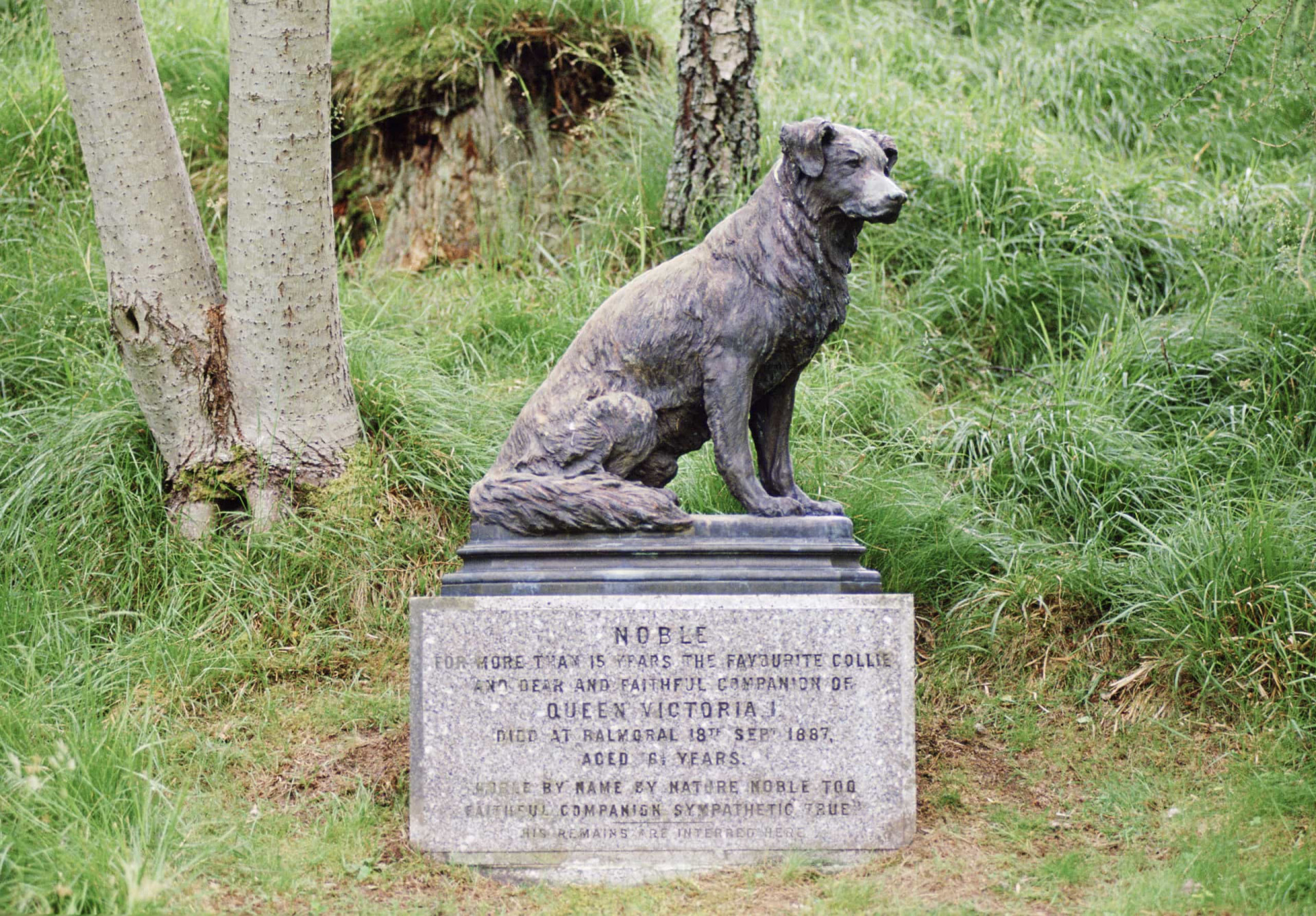 <p>Königin Victoria hatte mehrere Hunde im Laufe der Jahre, aber Noble war ihr Liebling. Es gibt sogar eine Statue von ihm.</p><p>Sie können auch mögen:<a href="https://de.starsinsider.com/n/201302?utm_source=msn.com&utm_medium=display&utm_campaign=referral_description&utm_content=459412v2"> Parkinson: Alles über die rätselhafte Krankheit</a></p>