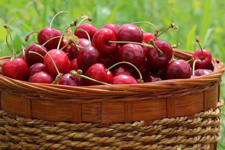 Nutritionist says cherries can help you get better sleep