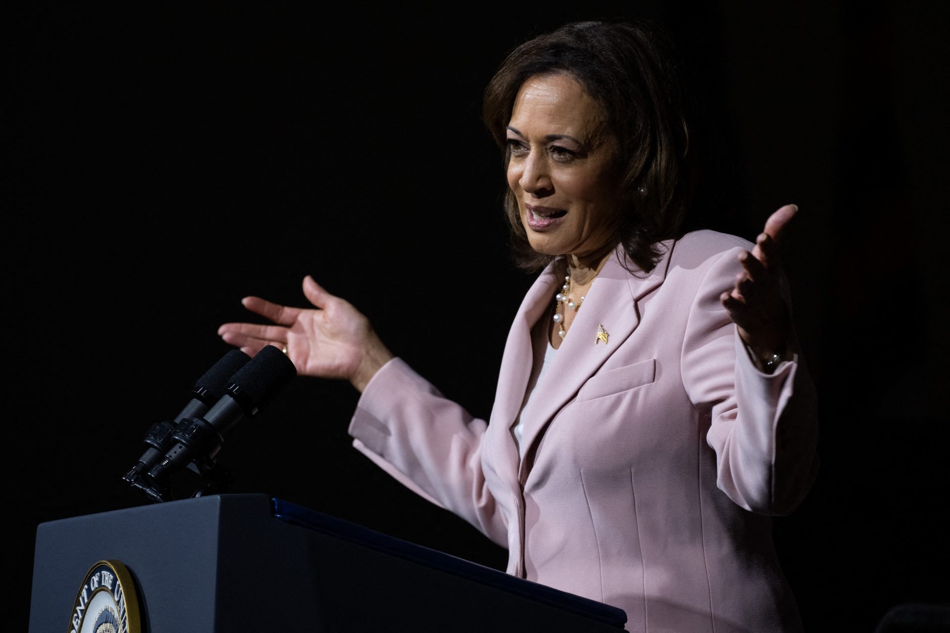 Kamala Harris' Worst Gaffe Of 2023 Was A Doozy