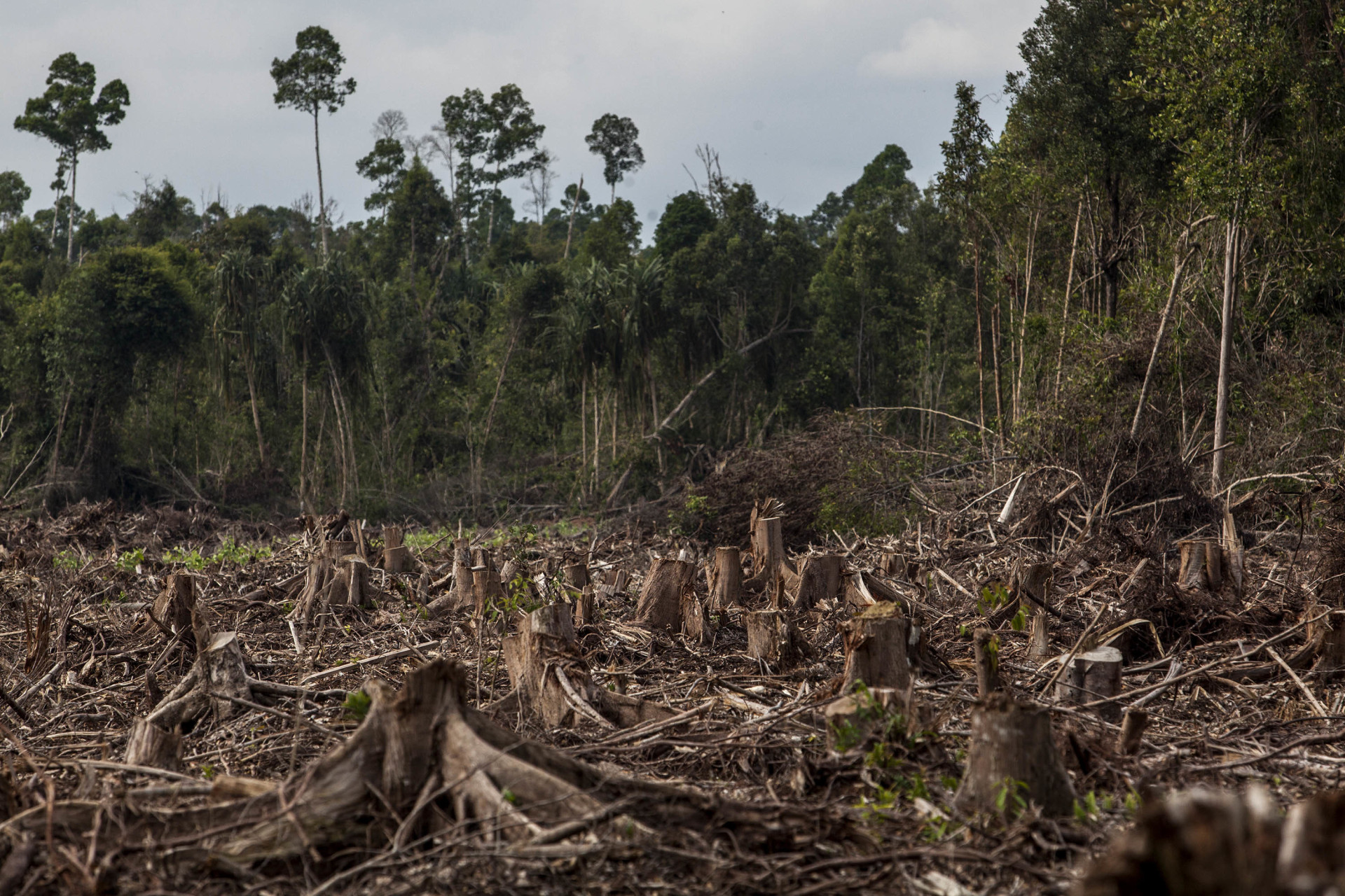 Les conséquences dévastatrices du réchauffement climatique sur notre ...