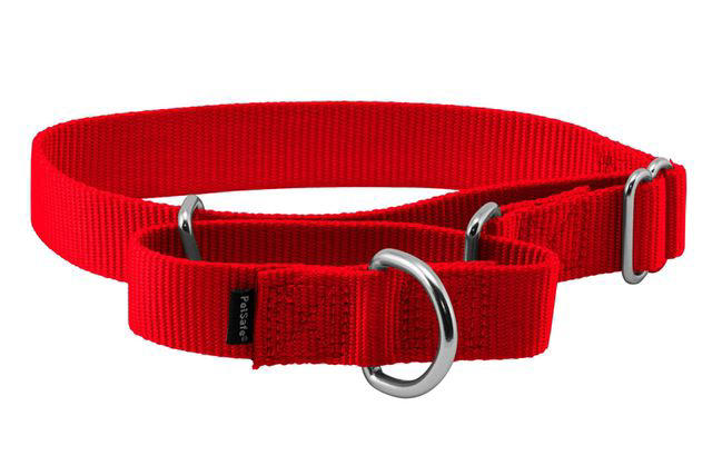 The 15 Best Dog Collars of 2024, Tested and Reviewed