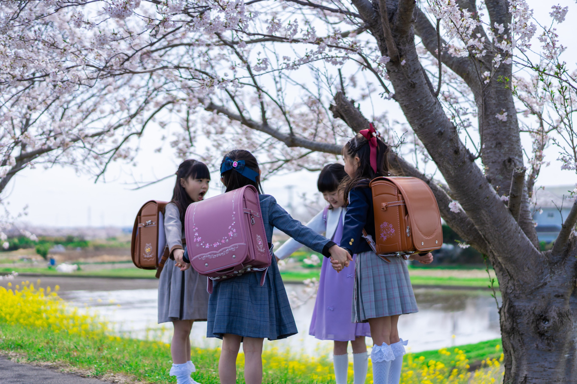 <p>Ces sacs à dos mignons et robustes sont traditionnellement utilisés par les élèves des écoles primaires japonaises. En 2022, l'un d'entre eux pouvait coûter environ 56 000 yens (environ 360 €), alors attendez-vous à payer encore plus cher aujourd'hui.</p>