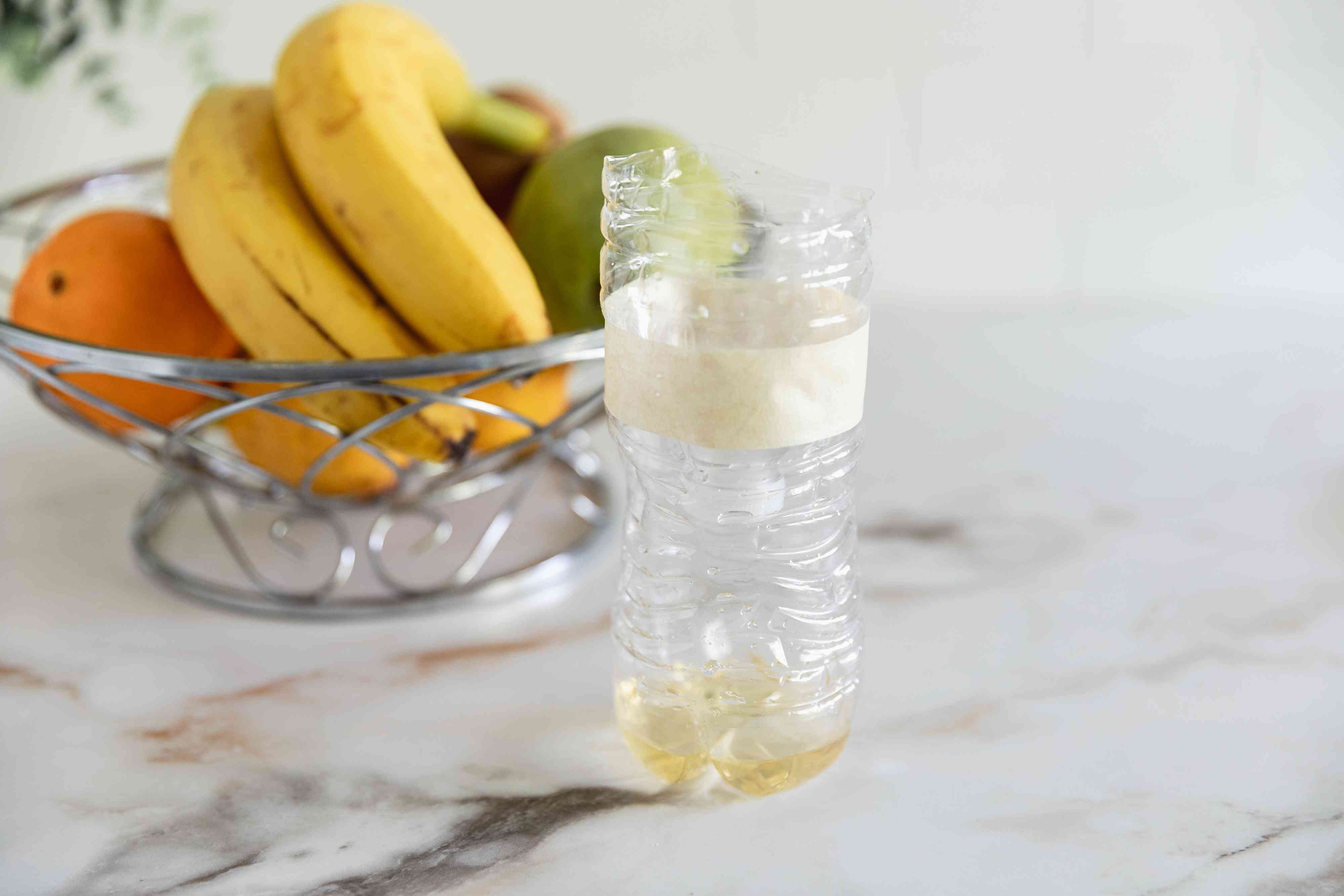 How to Make Gnat Traps 5 Best Methods