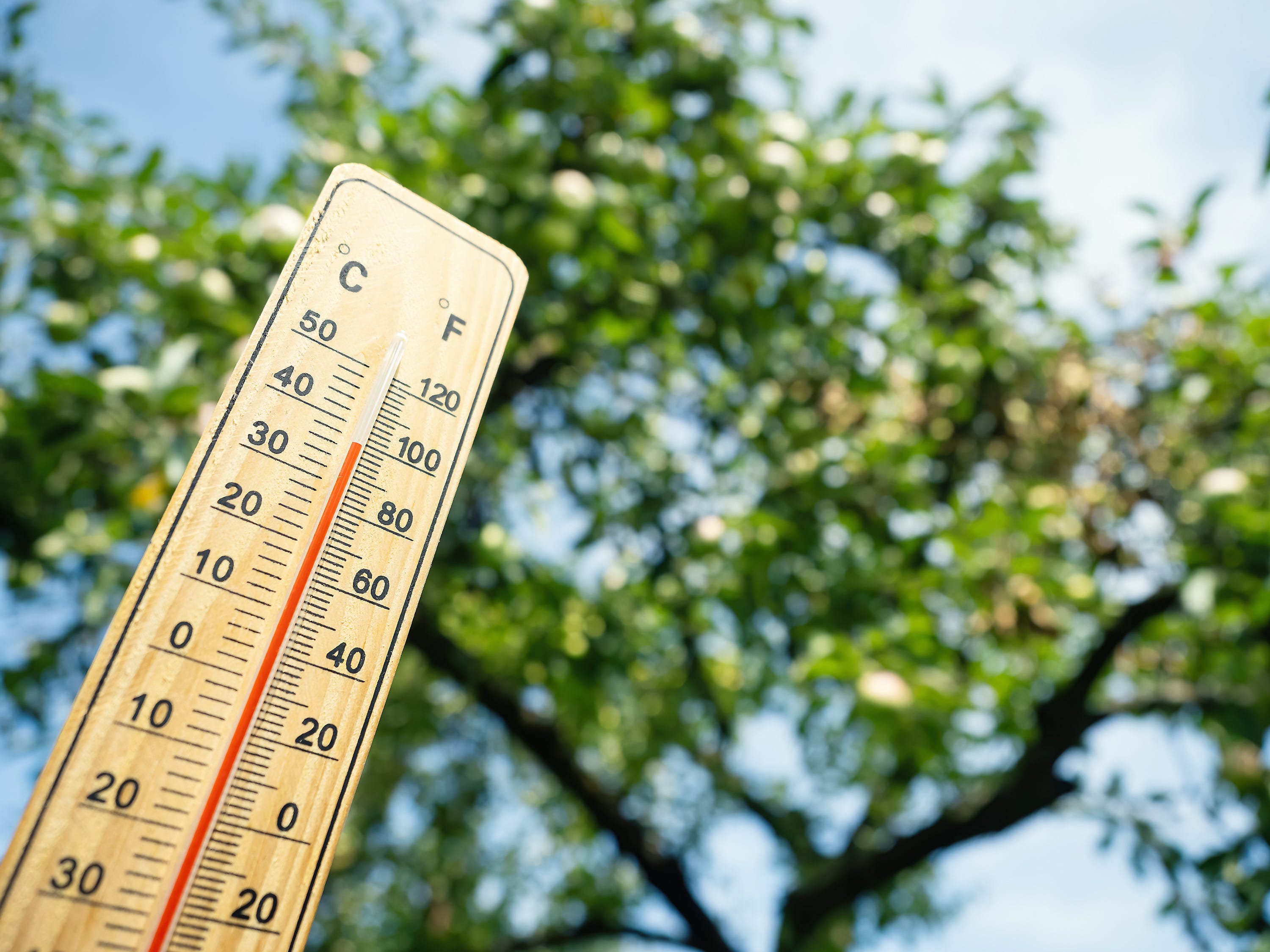 13 Natural Ways to beat body heat in Indian summer 
