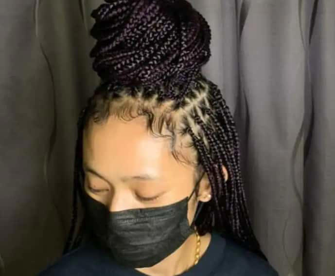 Half updo braided hairstyle Photo: @ellabraidingservices Source: Facebook