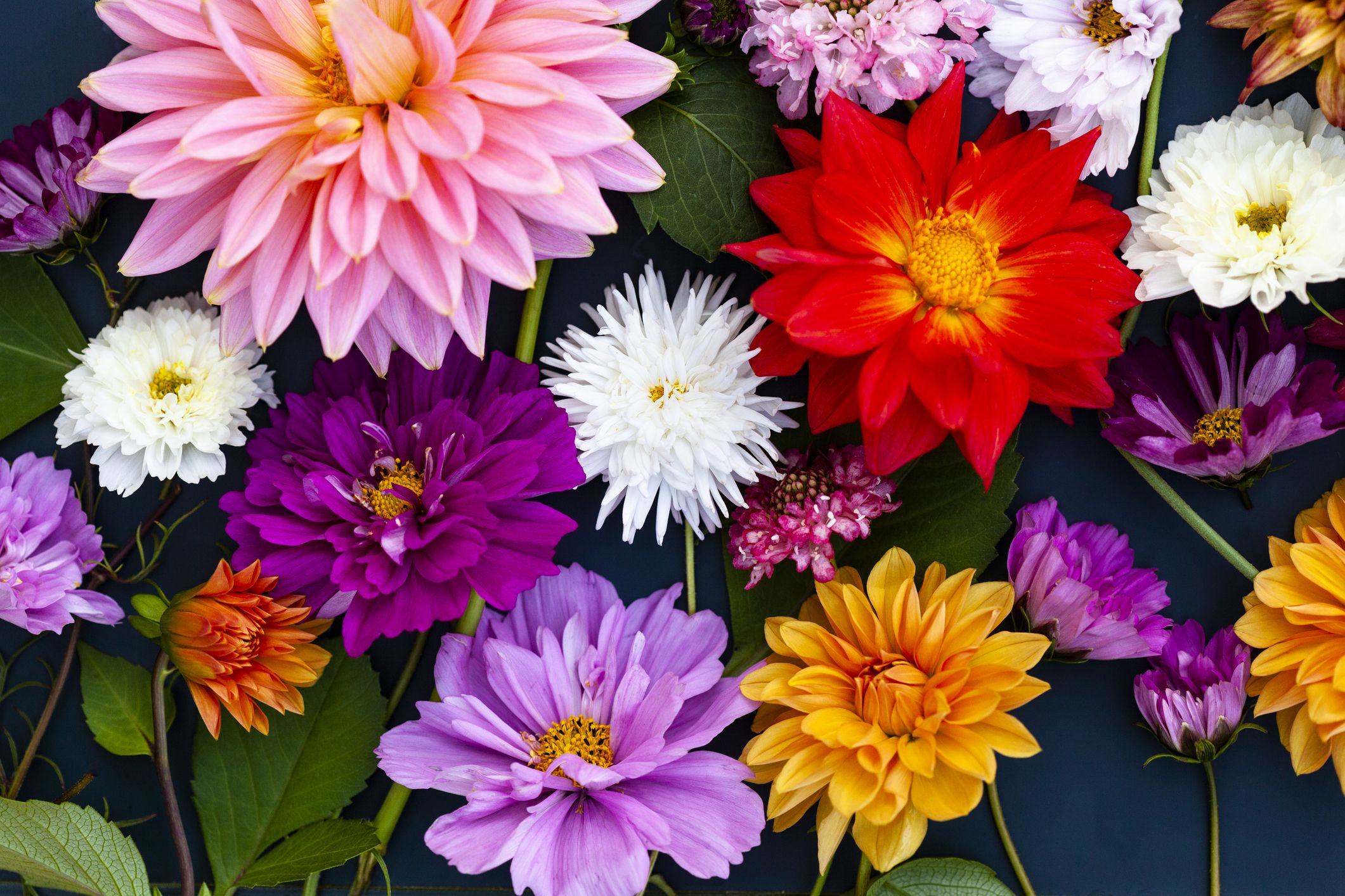 Pick The Right Flowers For Every Anniversary