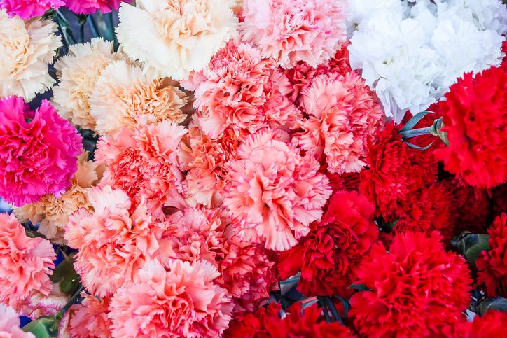 Pick the Right Flowers for Every Anniversary