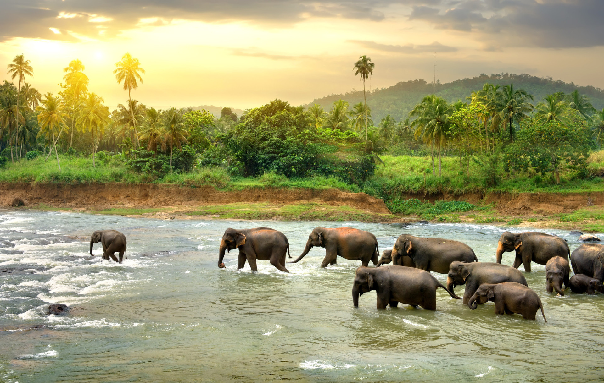 Sri Lanka is a wonderful option for people who want to combine culture, wildlife and nature, and paradisiac beaches in one single trip.<p>You may also like:<a href="https://www.starsinsider.com/n/451191?utm_source=msn.com&utm_medium=display&utm_campaign=referral_description&utm_content=284295v5en-nz"> The most covered songs ever</a></p>