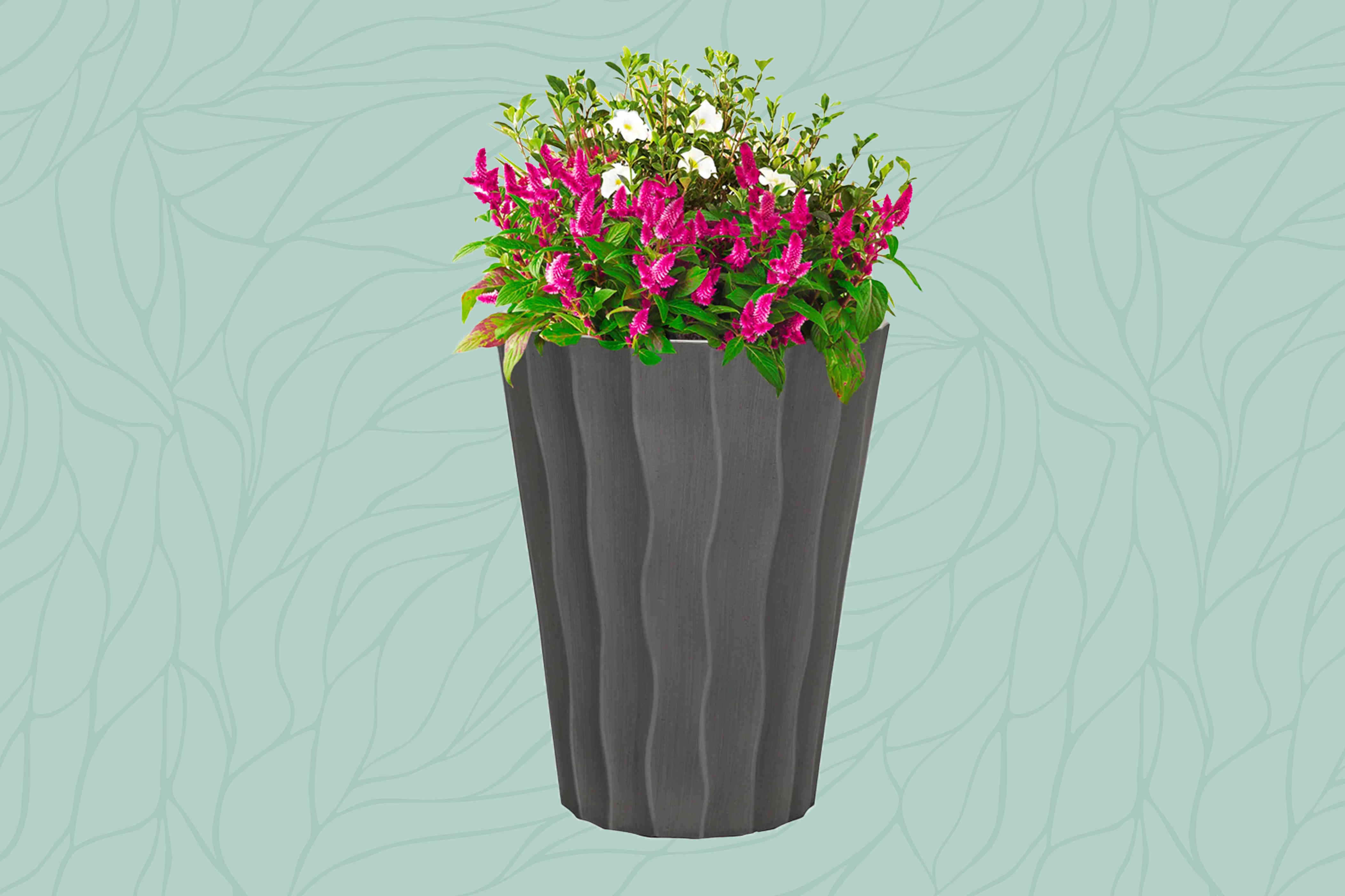 The 17 Best Outdoor Planters of 2024