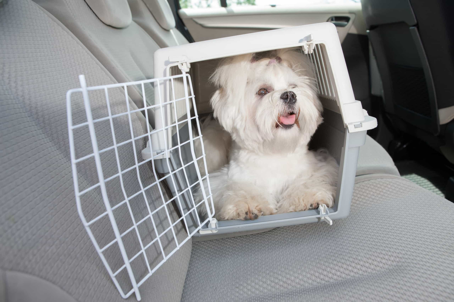 <p>La cage peut aussi être une option de transport sécurisé pour votre animal. Elles peuvent en effet être attachées avec la ceinture ou des sangles de bagage. Si votre chien y est habitué, vous pouvez aussi emporter une cage afin de l'utiliser dans d'autres contextes que celui de la voiture.</p>
