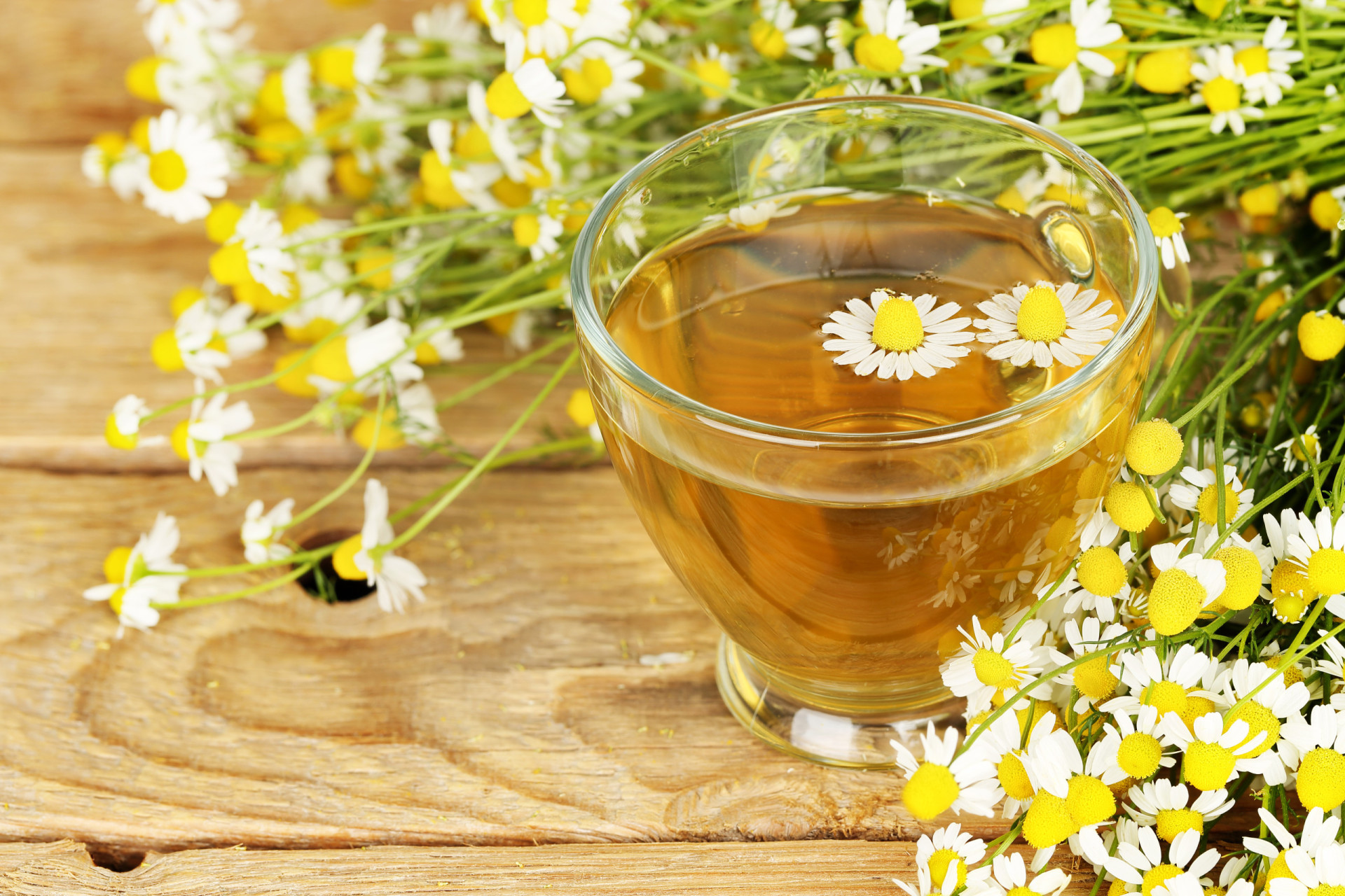 <p>Chamomile (<em>matricaria recutit</em>) may potentiate the effects of warfarin and cause bleeding.</p><p>You may also like:<a href="https://www.starsinsider.com/n/168788?utm_source=msn.com&utm_medium=display&utm_campaign=referral_description&utm_content=556697en-en"> 30 beautiful and single Hollywood celebrities</a></p>