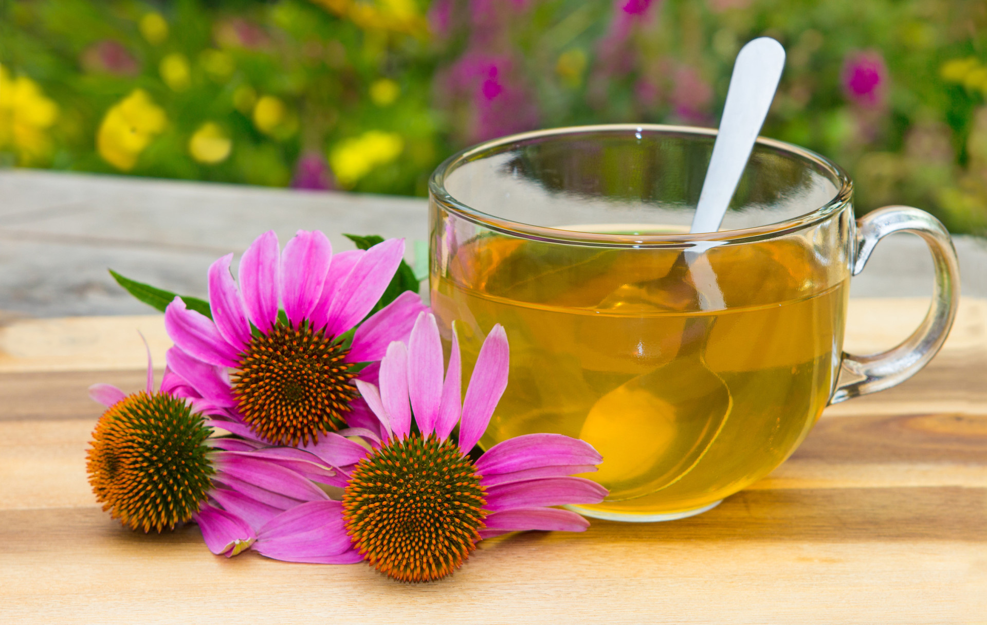 <p>Echinacea may decrease the effectiveness of immunosuppressive medication. The herb may also interact with antiretroviral drugs.</p><p>You may also like:<a href="https://www.starsinsider.com/n/173535?utm_source=msn.com&utm_medium=display&utm_campaign=referral_description&utm_content=556697en-en"> Why you have nightmares (and what you can do about it)</a></p>
