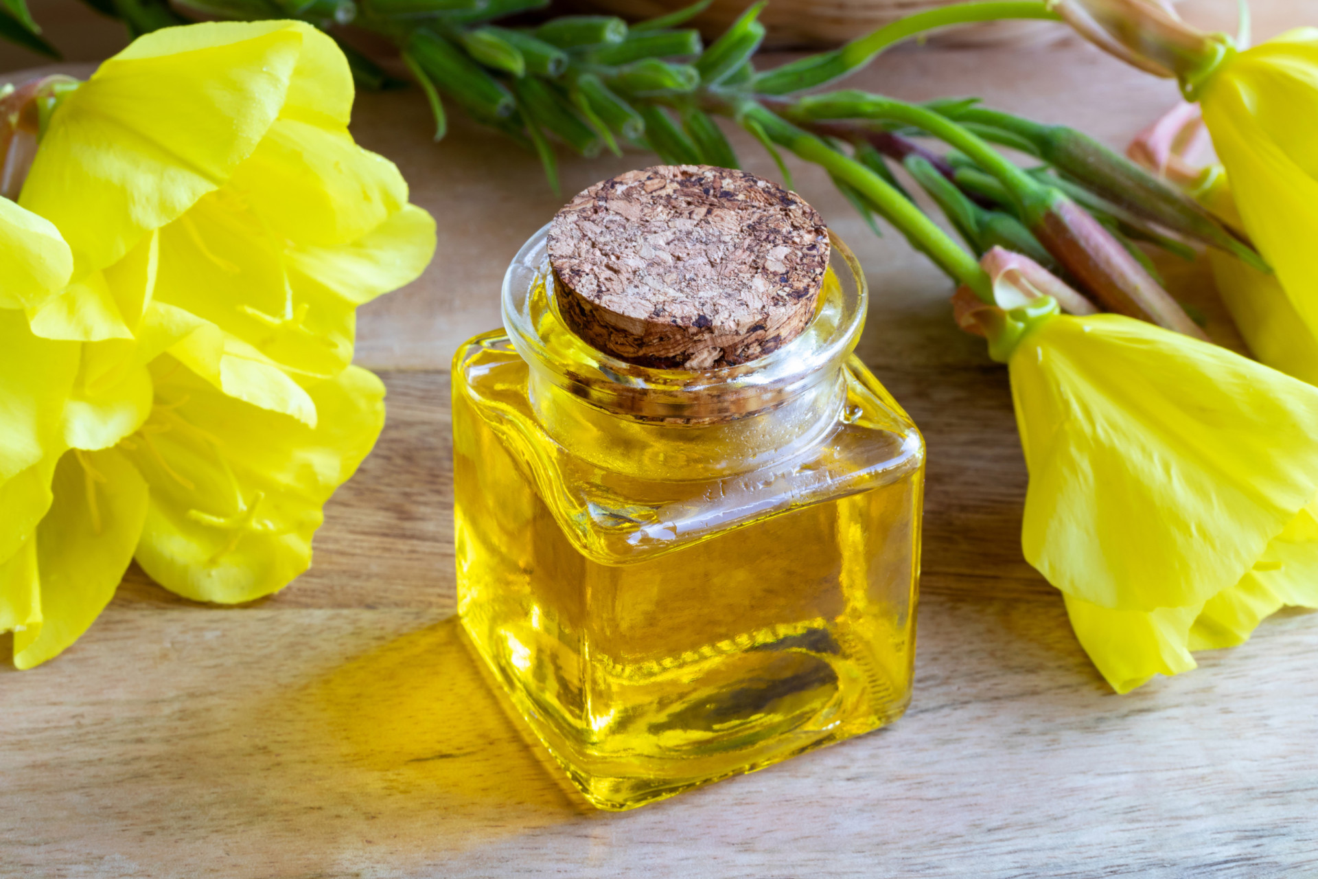 <p>Evening primrose oil (<em>oenothera biennis</em>) may potentiate the effects of antiplatelet and anticoagulant drugs. But according to clinical evidence, there is a low level of risk. In addition, a case report has shown a reduction in serum levels of lithium.</p><p><a href="https://www.msn.com/en-us/community/channel/vid-7xx8mnucu55yw63we9va2gwr7uihbxwc68fxqp25x6tg4ftibpra?cvid=94631541bc0f4f89bfd59158d696ad7e">Follow us and access great exclusive content every day</a></p>