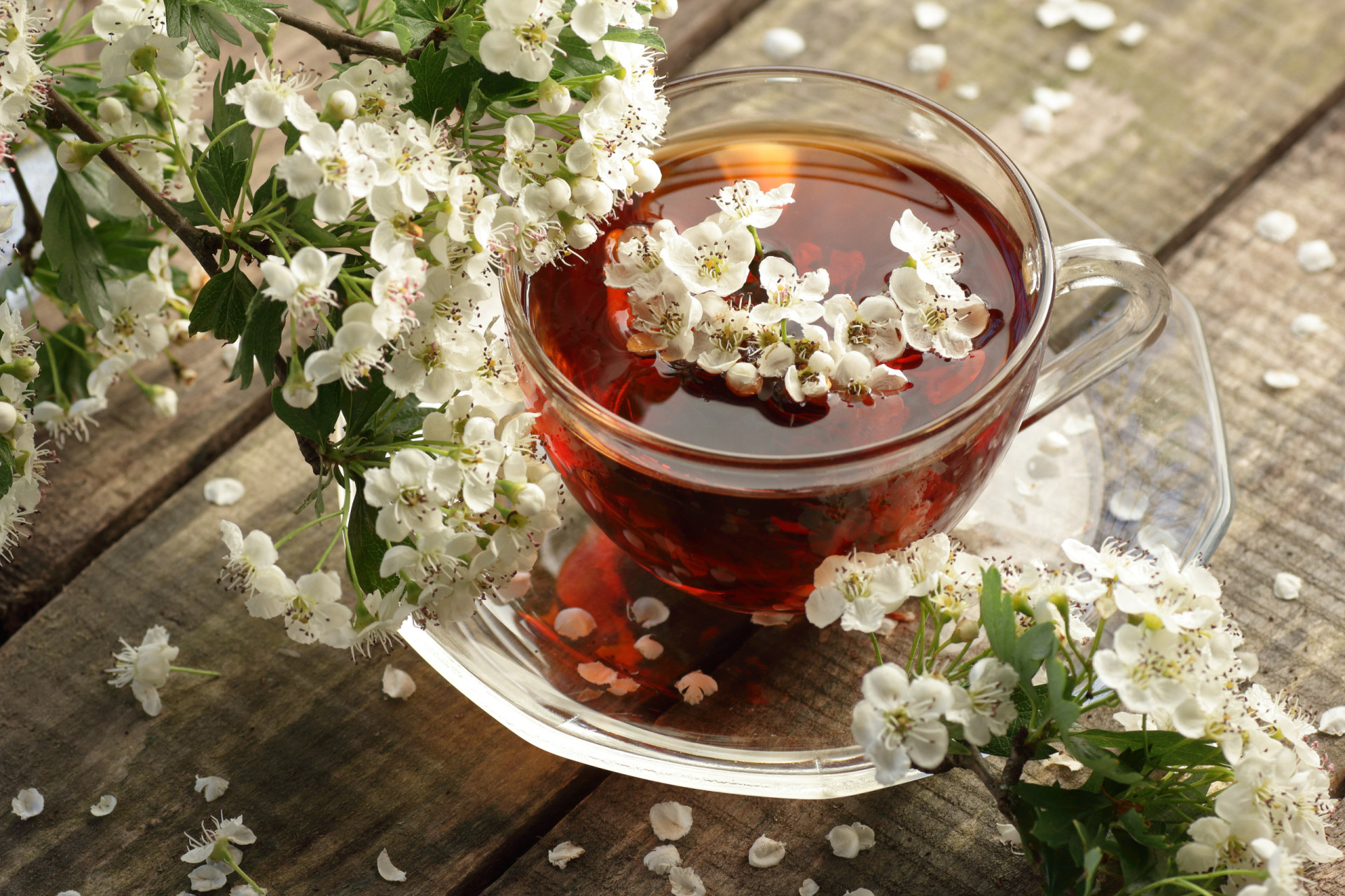 <p>Clinical studies have found that hawthorn may increase the effectiveness of digoxin.</p><p><a href="https://www.msn.com/en-us/community/channel/vid-7xx8mnucu55yw63we9va2gwr7uihbxwc68fxqp25x6tg4ftibpra?cvid=94631541bc0f4f89bfd59158d696ad7e">Follow us and access great exclusive content every day</a></p>