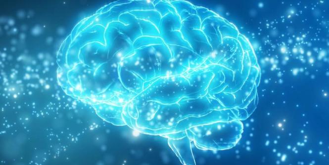tres cosas que debe dejar de hacer para cuidar la salud de su cerebro