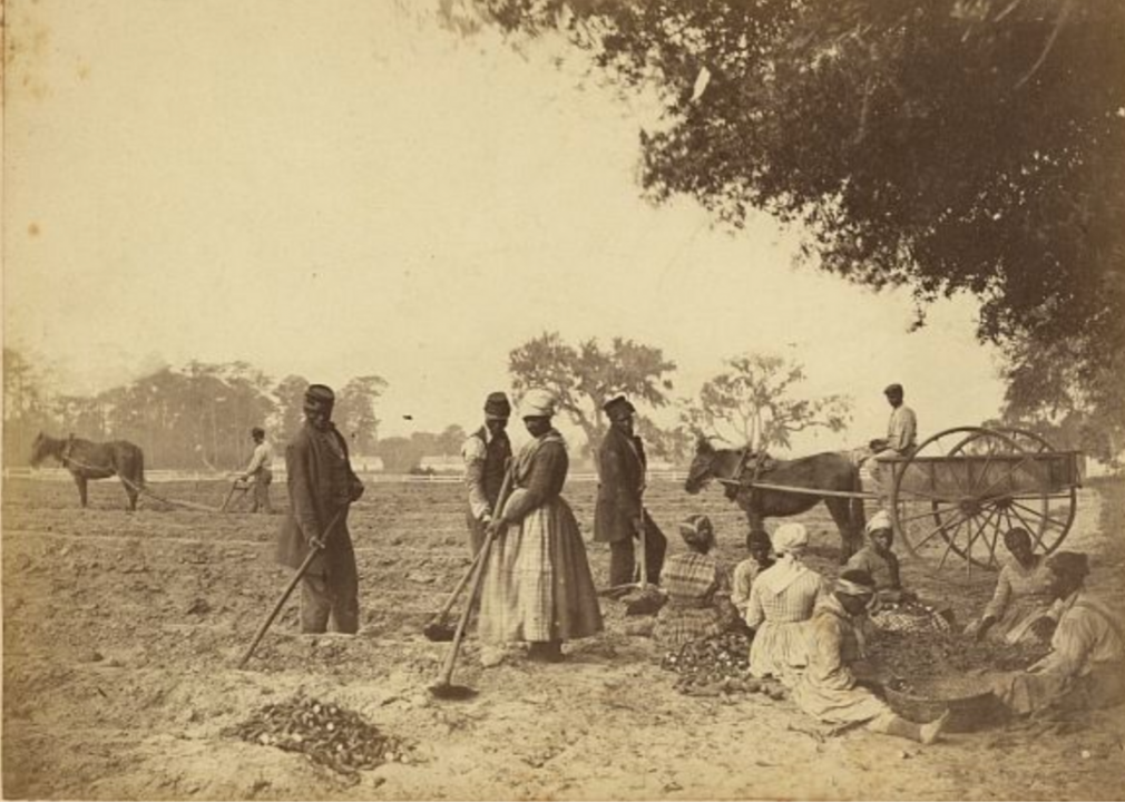 <p>The Emancipation Proclamation, which declared all slaves held in rebel states be free, was signed into effect by President Abraham Lincoln on Jan. 1, 1863. That was just a year after this photograph by printmaker and photographer Henry P. Moore was captured. The image depicts a group of enslaved people as they work a sweet potato plantation in South Carolina.</p>  <p>It has been <a href="https://herb.ashp.cuny.edu/items/show/1069">suggested that the image was staged</a> by Moore as part of a larger statement about the condition of slaves in the country, even as they were on the cusp of freedom. Particularly, <a href="https://www.nytimes.com/2009/11/25/opinion/25harris.html">the argument has been</a> that even with possible freedom on the horizon, the emotionless attitudes of the figures in the photograph could be Moore's way of depicting the struggles that would still lie ahead, even in a society freed from slavery.</p>