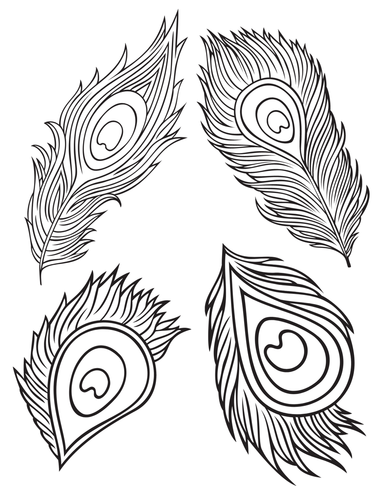 8 Perfect Peacock Coloring Pages