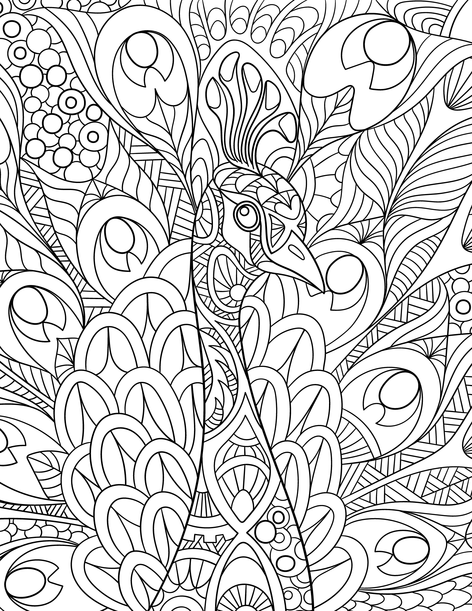 8 Perfect Peacock Coloring Pages