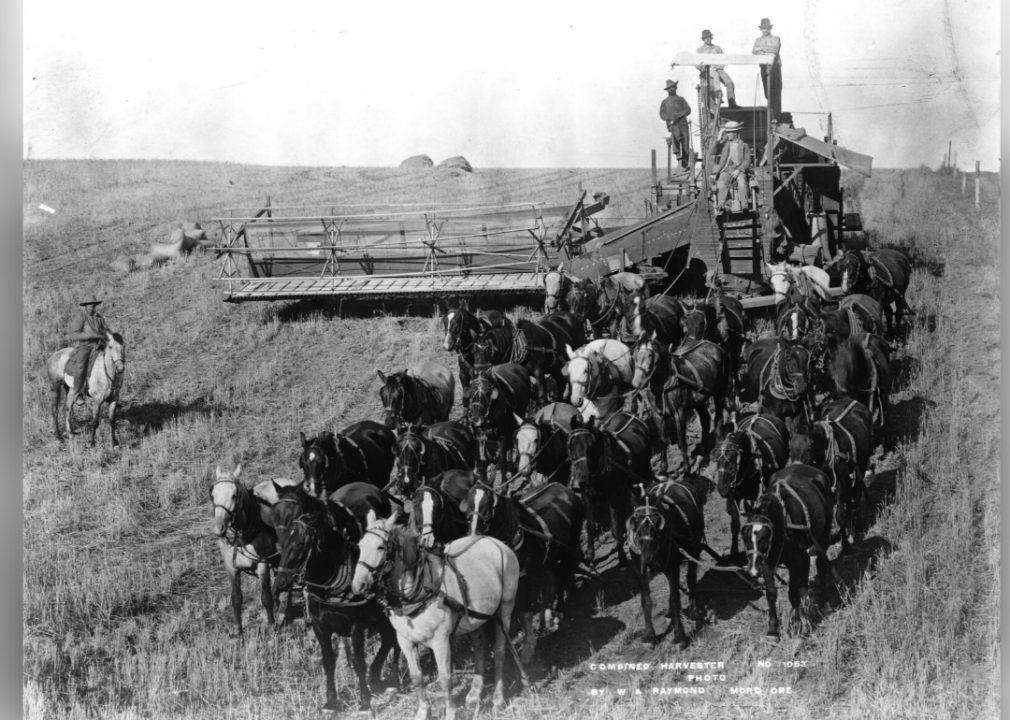 <p>The use of <a href="https://www.historylink.org/File/10222">combine harvesters</a> was new to America as of the 1860s. The farming technology combined the once-independent jobs of a header and a thresher, and thus significantly reduced the time and effort that it would take a farmer to harvest wheat, corn and a number of other crops. In this photograph, the combine harvester is pulled through an Oregon wheat field by horses—though the process allowed for fewer men to be involved, it could call for up to 40 horses—as it harvests the grain.</p>  <p><strong>You may also like: </strong><a href="https://thestacker.com/stories/3989/how-farming-has-changed-every-state-last-100-years">How farming has changed in every state the last 100 years</a></p>