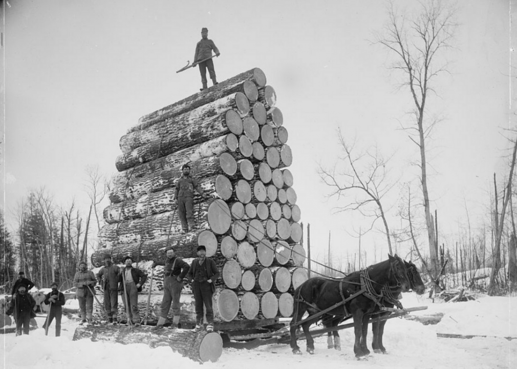 <p>Michigan's vast landscapes of pine trees and hardwoods made the region a key player in the 19th-century lumber industry. This photo shows a sled pulling loads of lumber in 1880, at which point Michigan had become the <a href="https://www.michigan-history.org/lumbering/LumberingBriefHistory.html">largest lumber producer in the country</a>. Sleds were instrumental in moving massive logs on manmade ice-covered roads when simply dragging them from the forest wasn't a feasible option.</p>