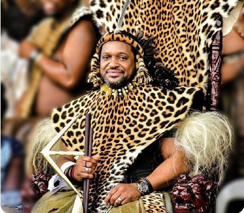 A court sets aside the South African president's recognition of the Zulu  king