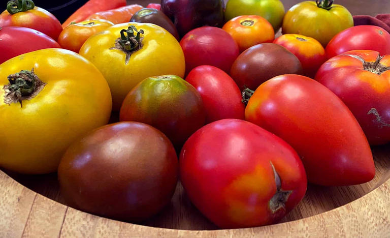 10 Tomato Growing Tips For A Huge Crop