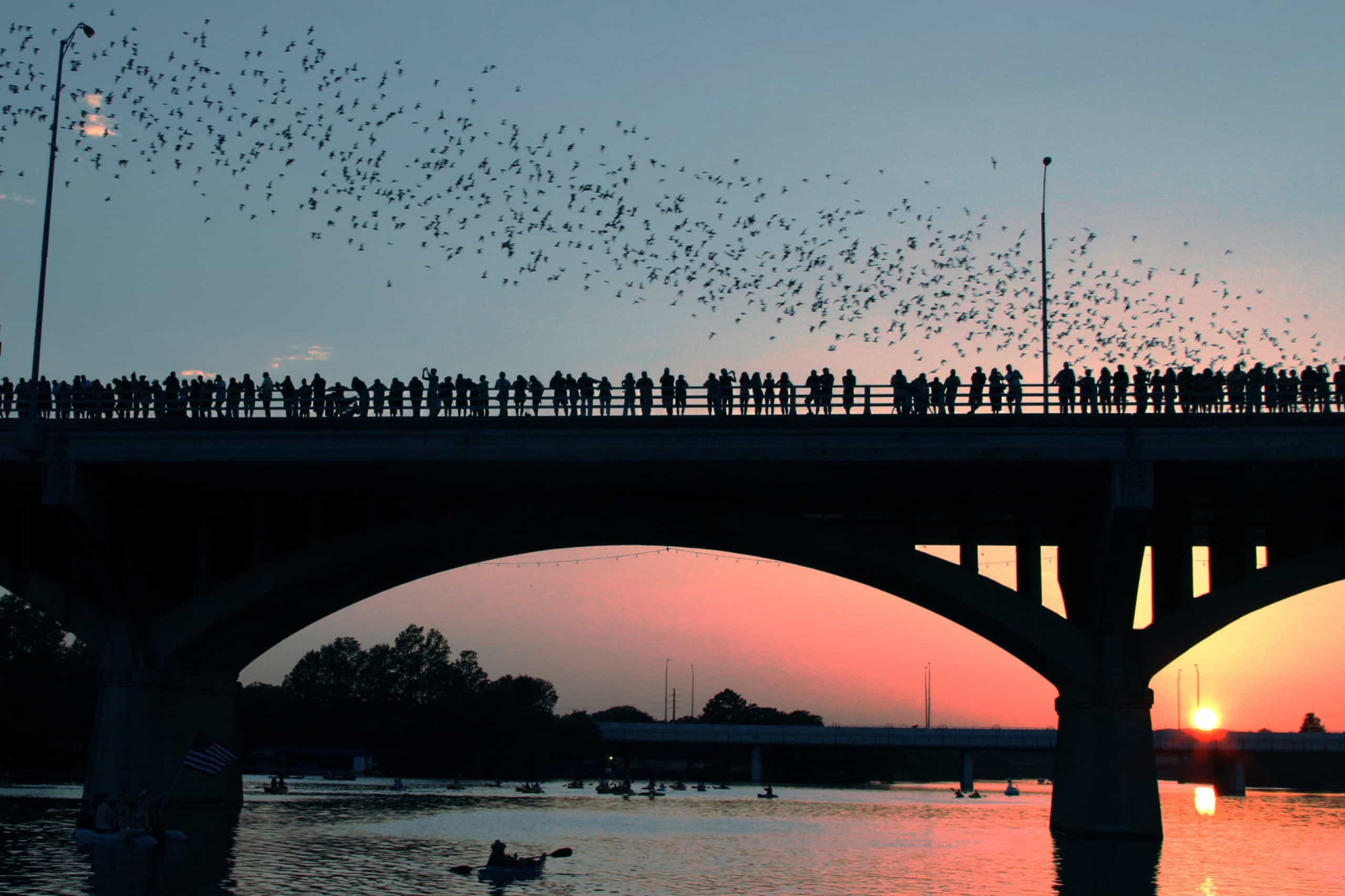<p>Stand on the Congress Avenue Bridge on any summer night and watch wide-eyed as the world's largest urban bat colony emerges en masse into the evening sky.</p><p><a href="https://www.msn.com/en-us/community/channel/vid-7xx8mnucu55yw63we9va2gwr7uihbxwc68fxqp25x6tg4ftibpra?cvid=94631541bc0f4f89bfd59158d696ad7e">Follow us and access great exclusive content every day</a></p>