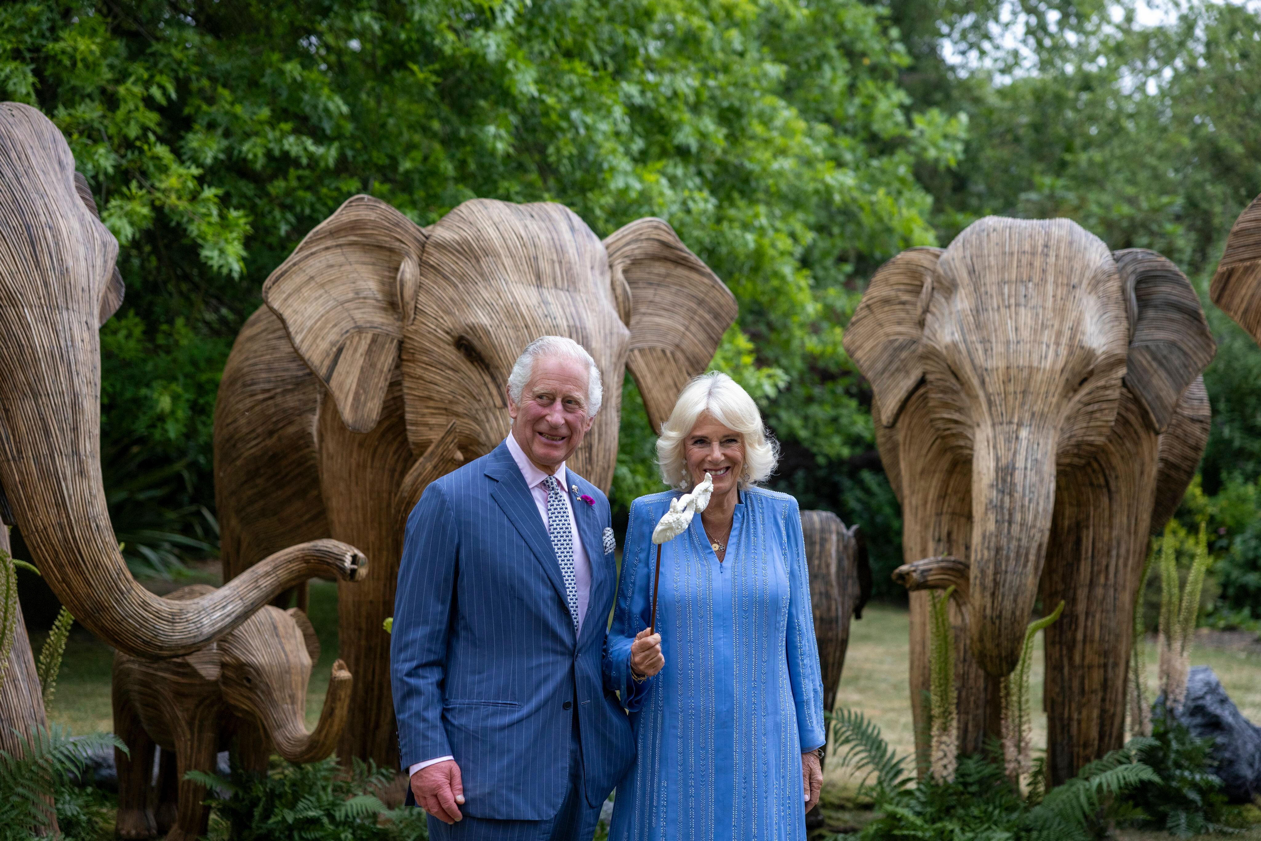 <p>King Charles III and Queen Camilla attended the Animal Ball at Lancaster House in London on June 28, 2023, to mark the 20th anniversary of Elephant Family, a charity that's part of the British Asian Trust.</p>