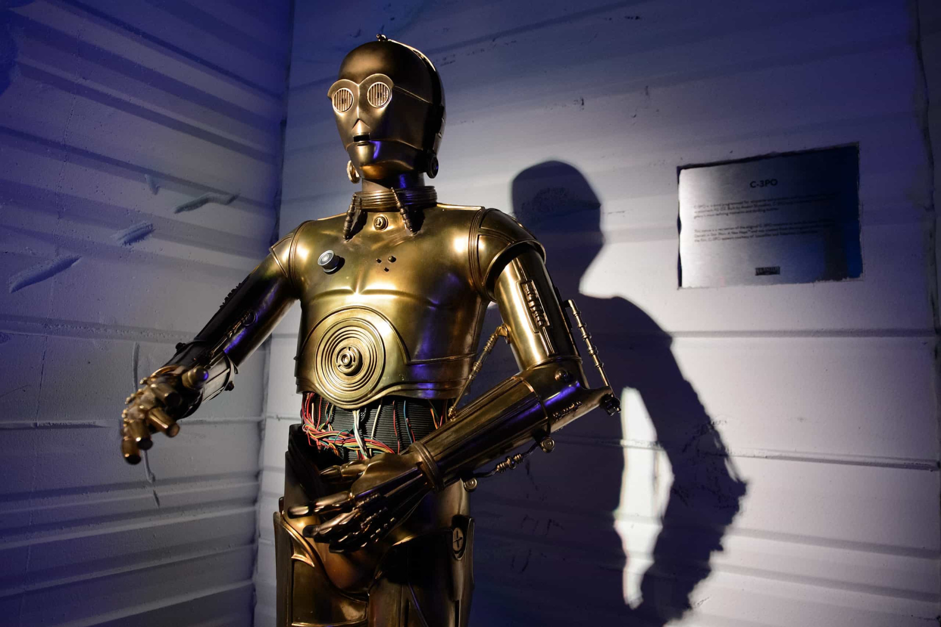 <p>Replicas of HAL 9000 from '2001: A Space Odyssey' (1968) and Star Wars' favorite C-3PO are among the automatons waiting to greet visitors at The Robot Hall of Fame, housed in the Carnegie Science Center.</p><p><a href="https://www.msn.com/en-us/community/channel/vid-7xx8mnucu55yw63we9va2gwr7uihbxwc68fxqp25x6tg4ftibpra?cvid=94631541bc0f4f89bfd59158d696ad7e">Follow us and access great exclusive content every day</a></p>