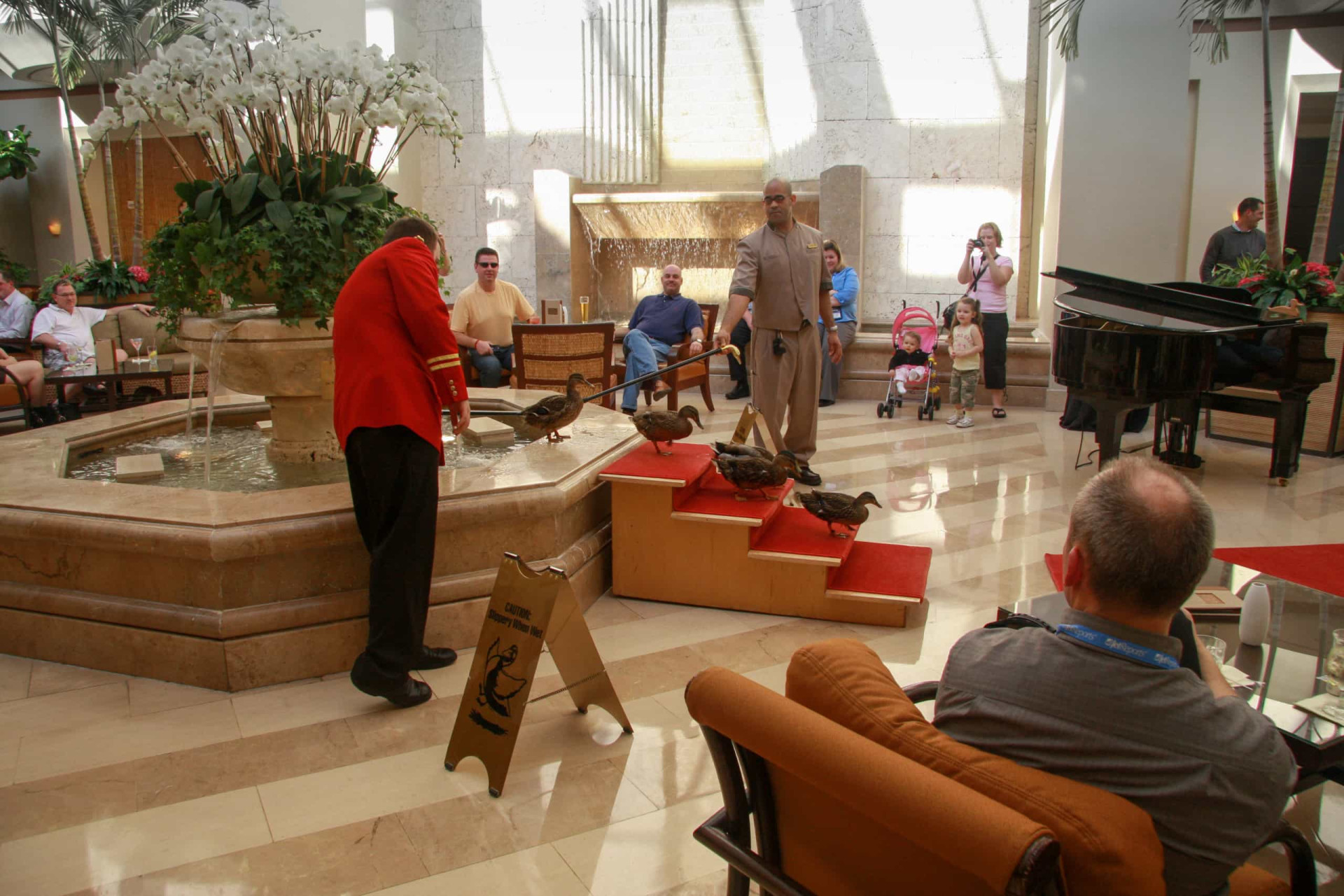 <p>At exactly 11 am and 5 pm every day, five mallards visit the lobby fountain in the Peabody Hotel, a delightful ritual known as the Peabody Duck March that dates back to the 1930s.</p><p><a href="https://www.msn.com/en-us/community/channel/vid-7xx8mnucu55yw63we9va2gwr7uihbxwc68fxqp25x6tg4ftibpra?cvid=94631541bc0f4f89bfd59158d696ad7e">Follow us and access great exclusive content every day</a></p>
