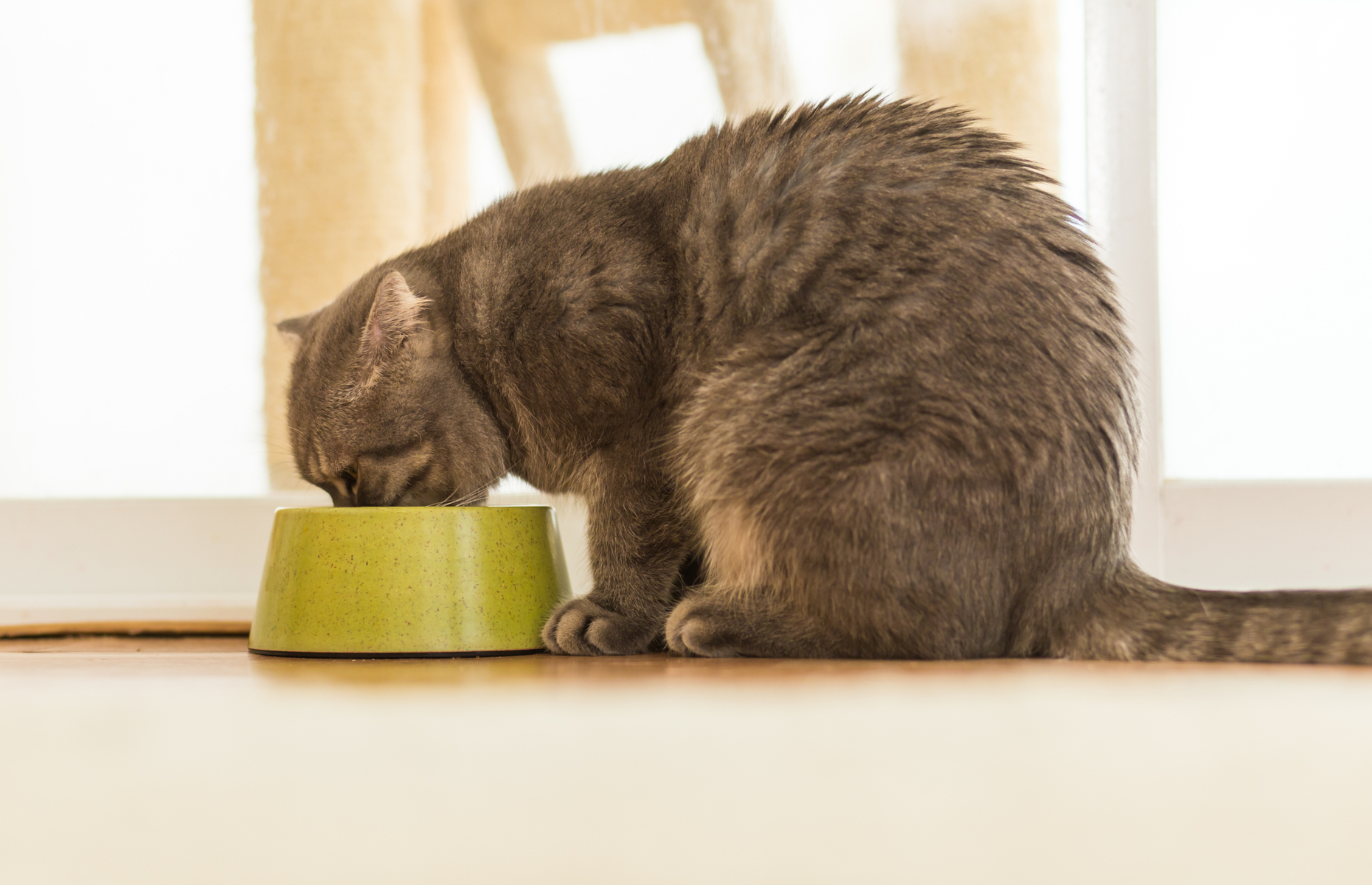 20 surprising things you can put in the dishwasher