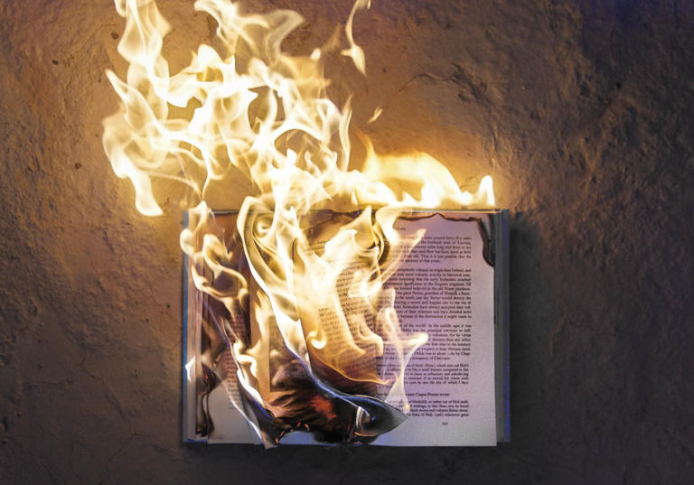  Burning books.