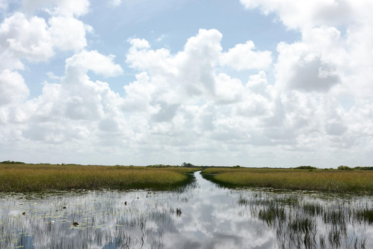 A local’s guide to the Everglades
