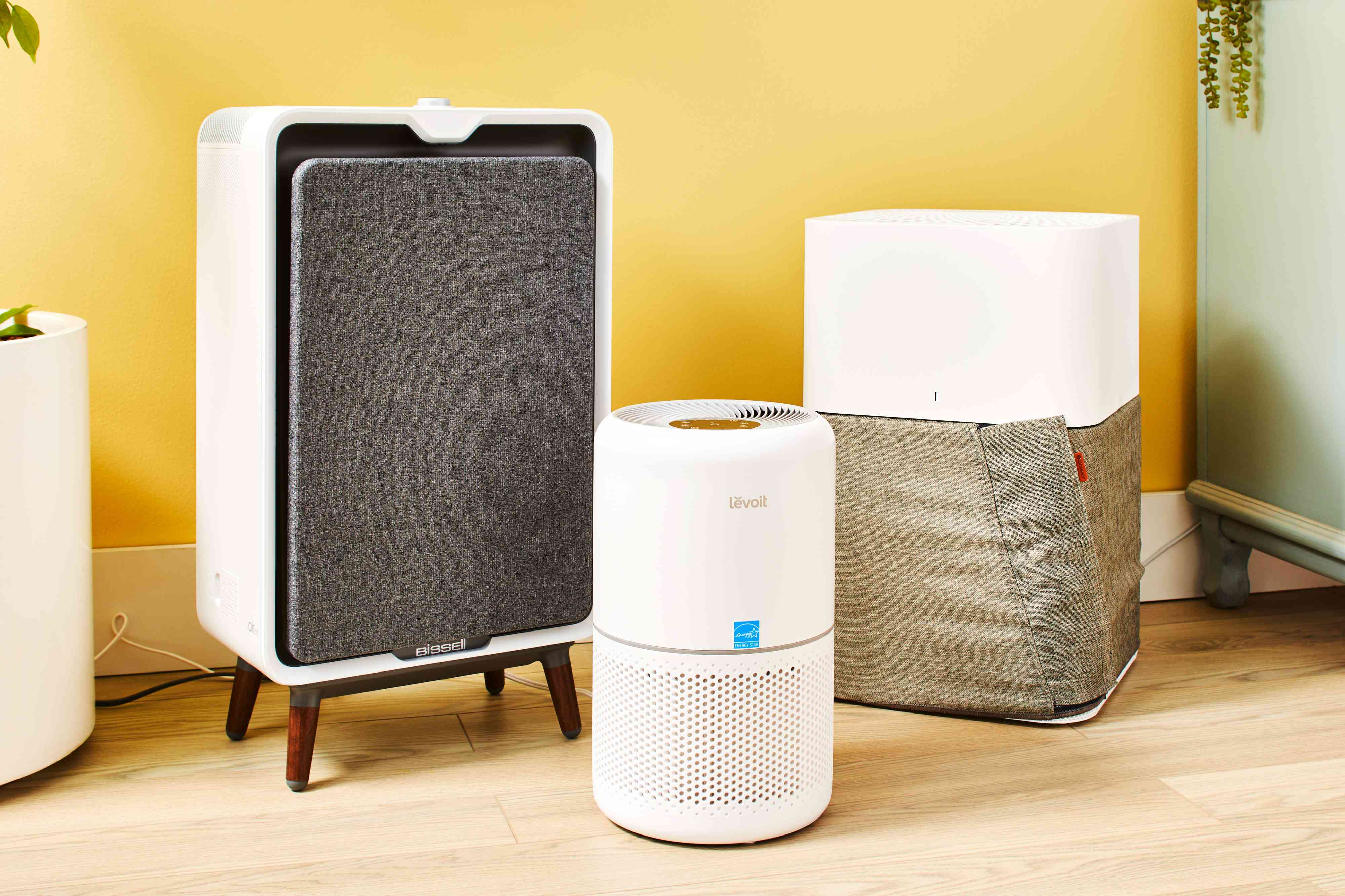 The 8 Best Air Purifiers For Removing Pet Hair, Odors, And Dander ...