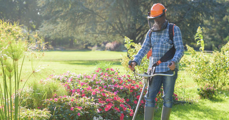 How To Start a Landscaping Business and Make It a Success