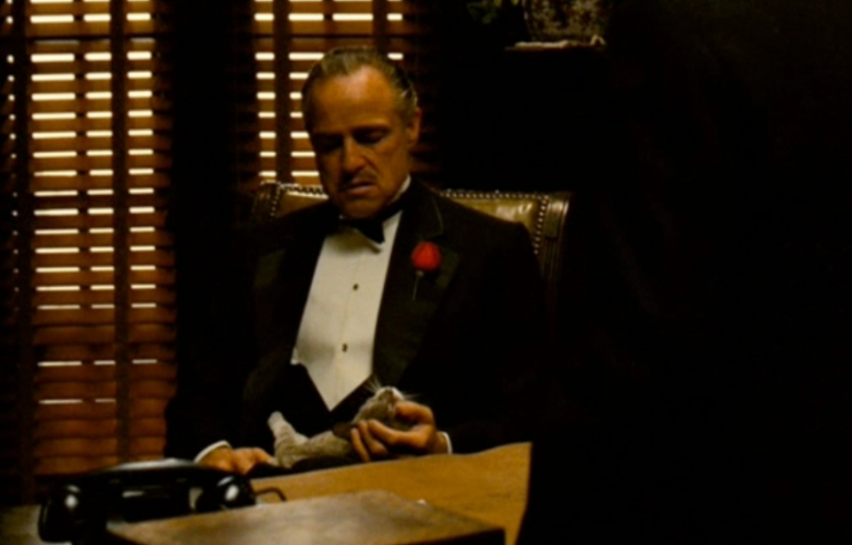 <p>The iconic scene where Vito Corleone is holding a cat while holding court in his study was not originally scripted. Marlon Brando was given the cat before the scene and since the cat took a liking to the iconic actor, he kept it while filming the scene.</p>