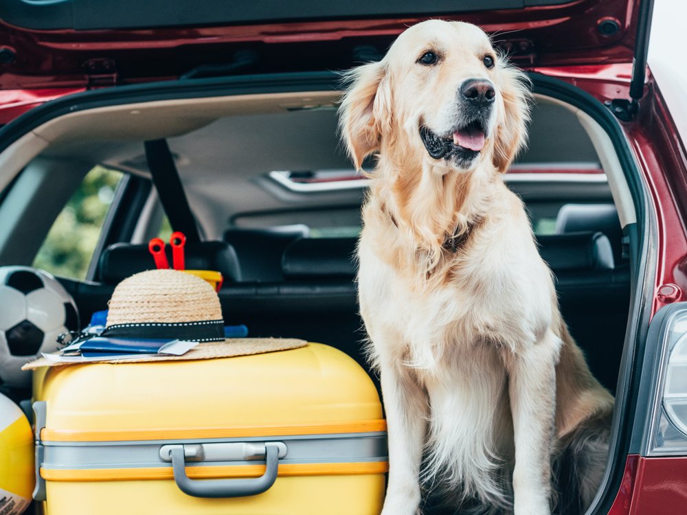 <p>Even before departure, parents should think carefully about how to fill the trunk with luggage. A bag with toys and provisions should not be at the bottom, so that you do not have to rearrange everything during the rest.</p>